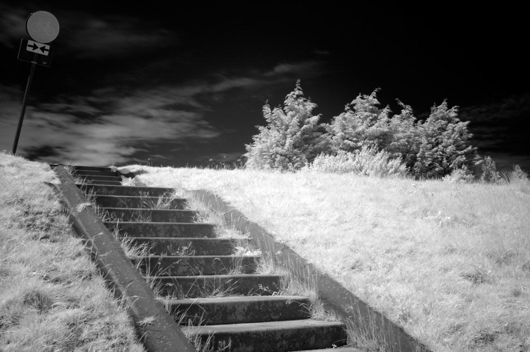 Exhibition pudding fabriek