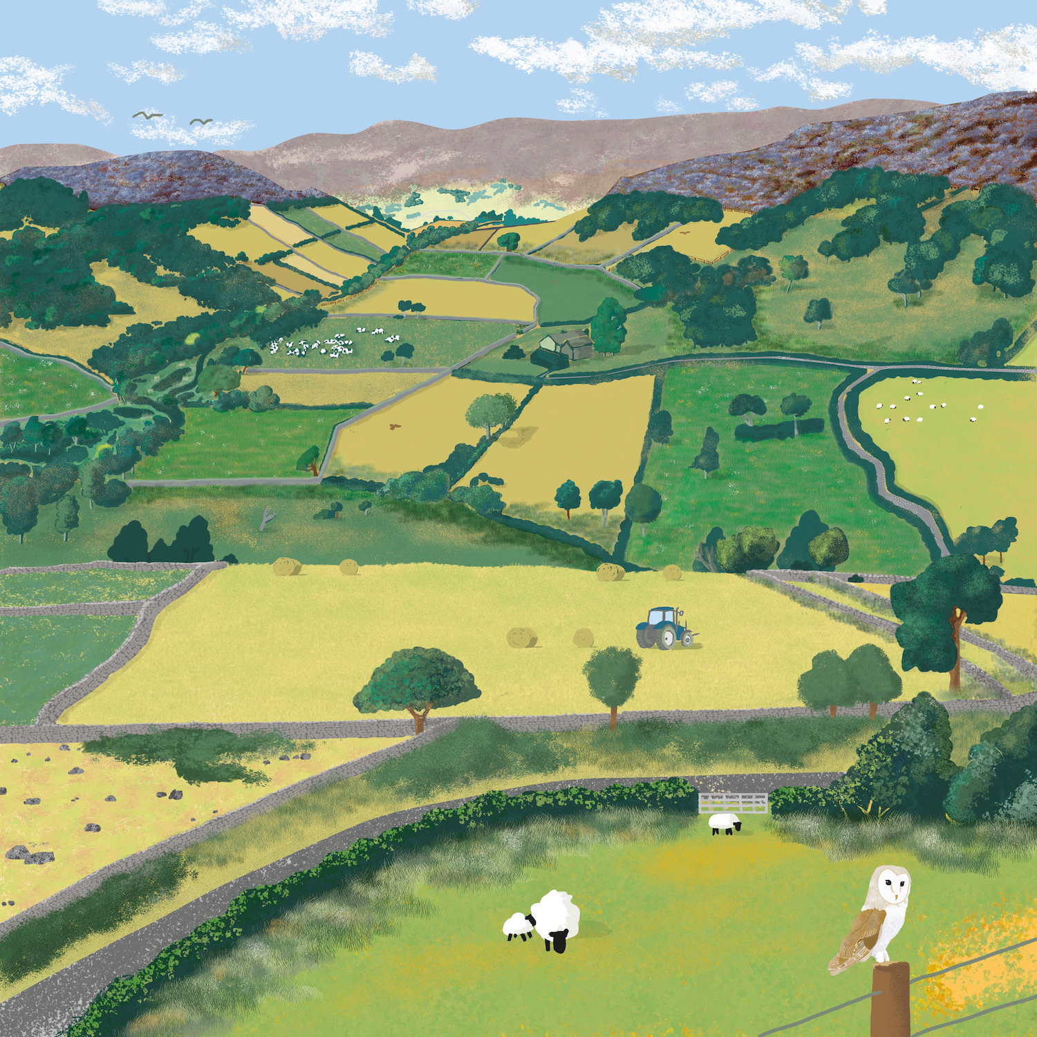 NORTH YORK MOORS NATIONAL PARK | Future landscape visualisation to support nature restoration projects led by Revere, a partnership between National Parks UK and Palladium.