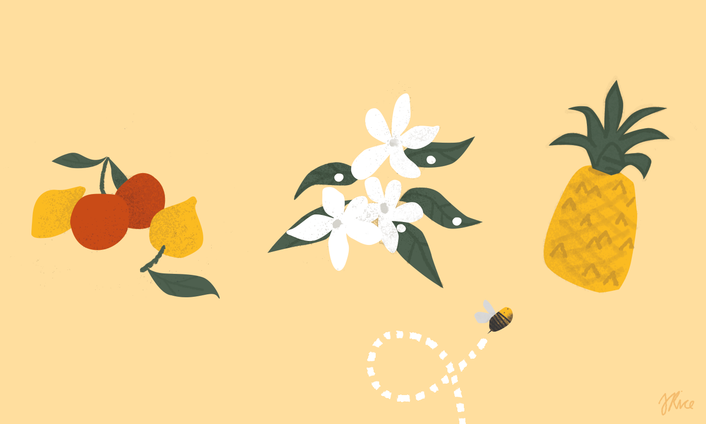 PITZHANGER MANOR & GALLERY CHILDREN'S TRAIL | spot illustrations