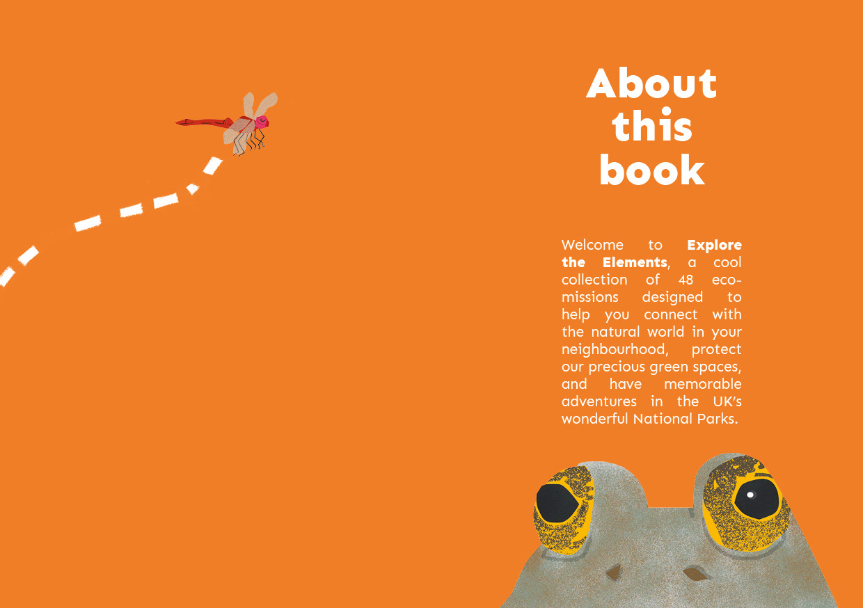 About this book