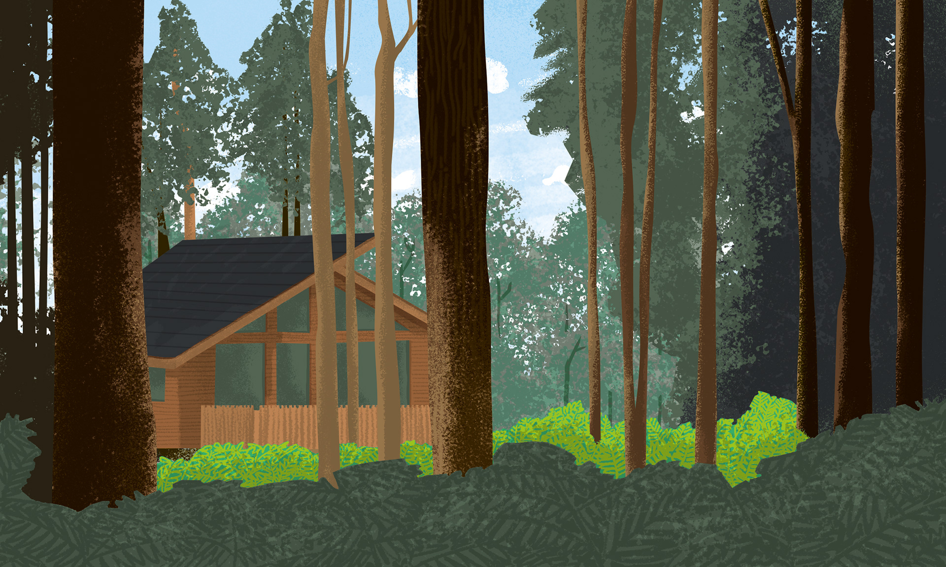 FOREST HOLIDAYS ADVERT | illustration from family nature activity book, Explore The Elements