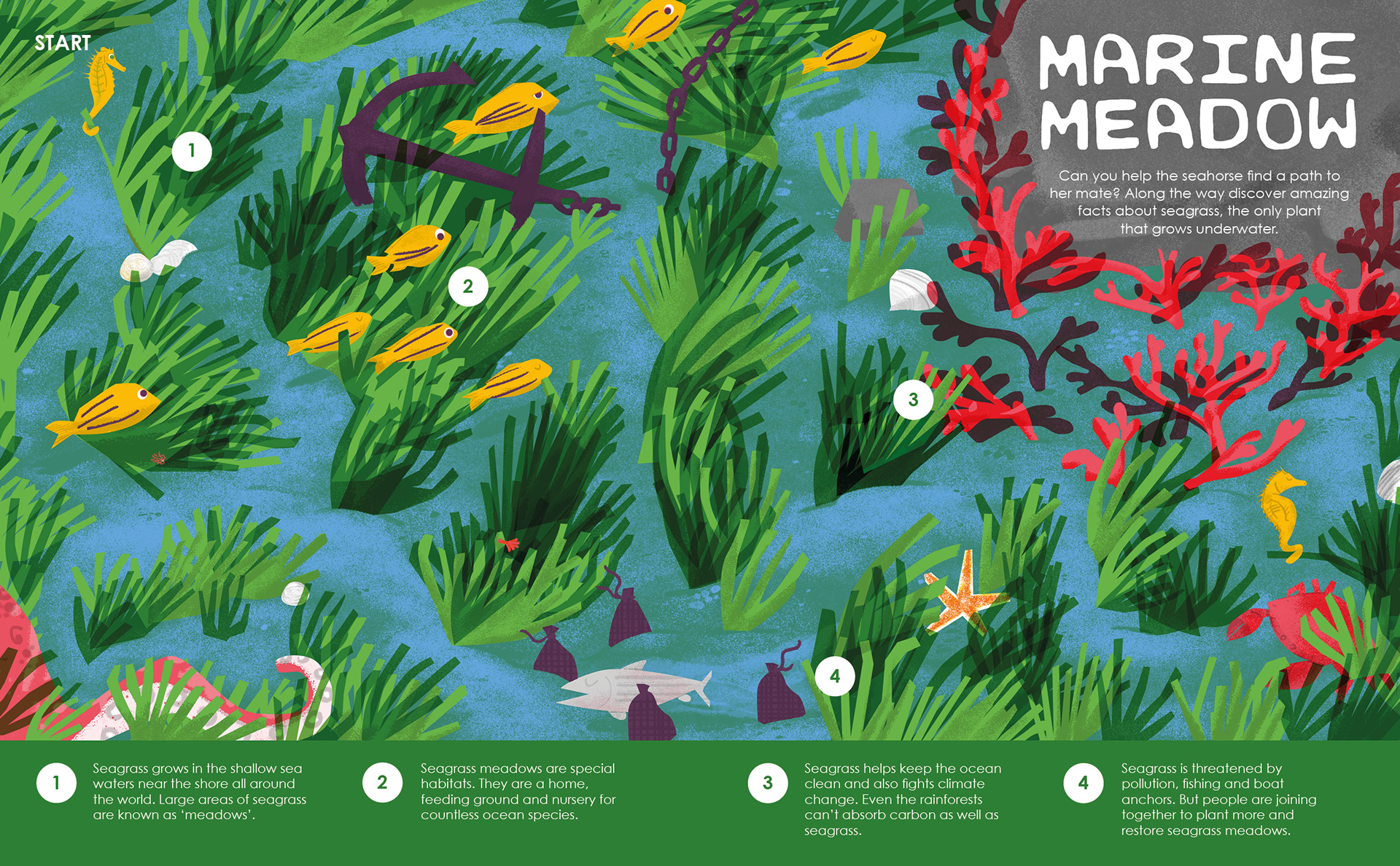 PERSONAL PROJECT | Double-page spread for children's magazine. This seagrass maze was inspired by 'fantastic plants' theme.