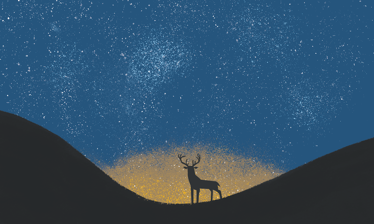 DISTANT SUNGAZING | illustration from family nature activity book, Explore The Elements
