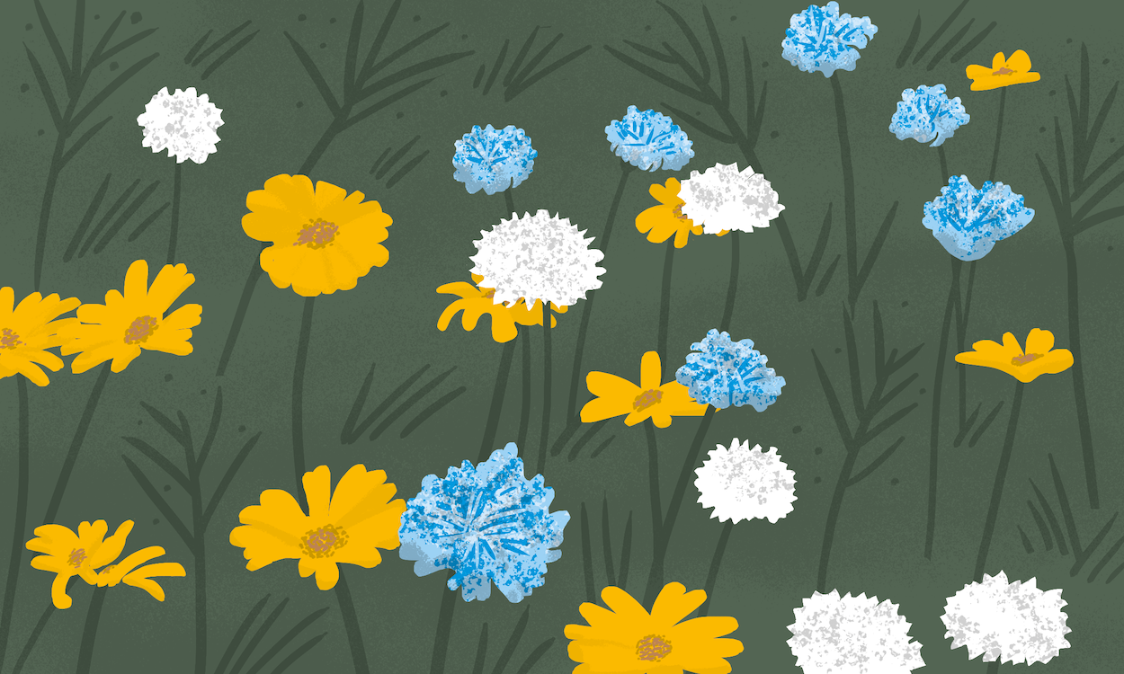 GUERILLA GARDEN GANG | illustration from family nature activity book, Explore The Elements