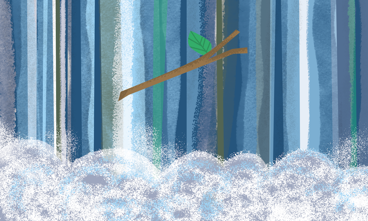 CHASING WATERFALLS | illustration from family nature activity book, Explore The Elements