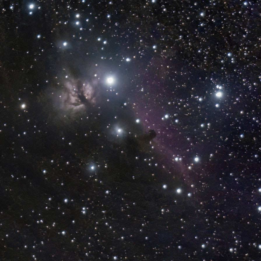 Flame and Horsehead Nebulae