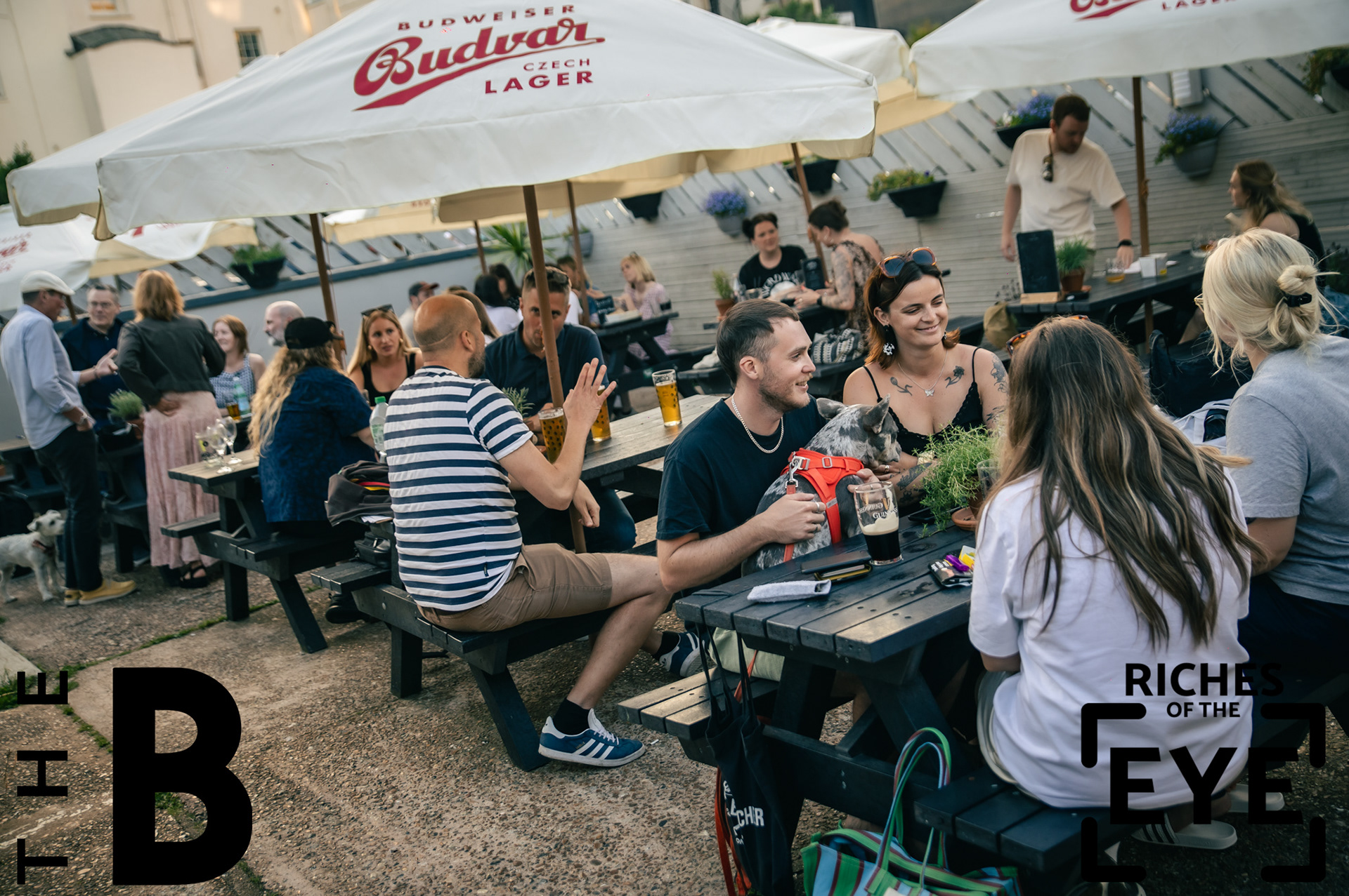 @ The Brunswick Summer Beer Festival, Hove