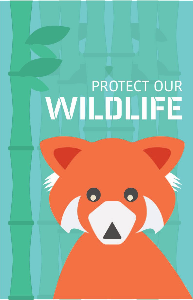Week 1 Skill Builder: Wildlife Poster