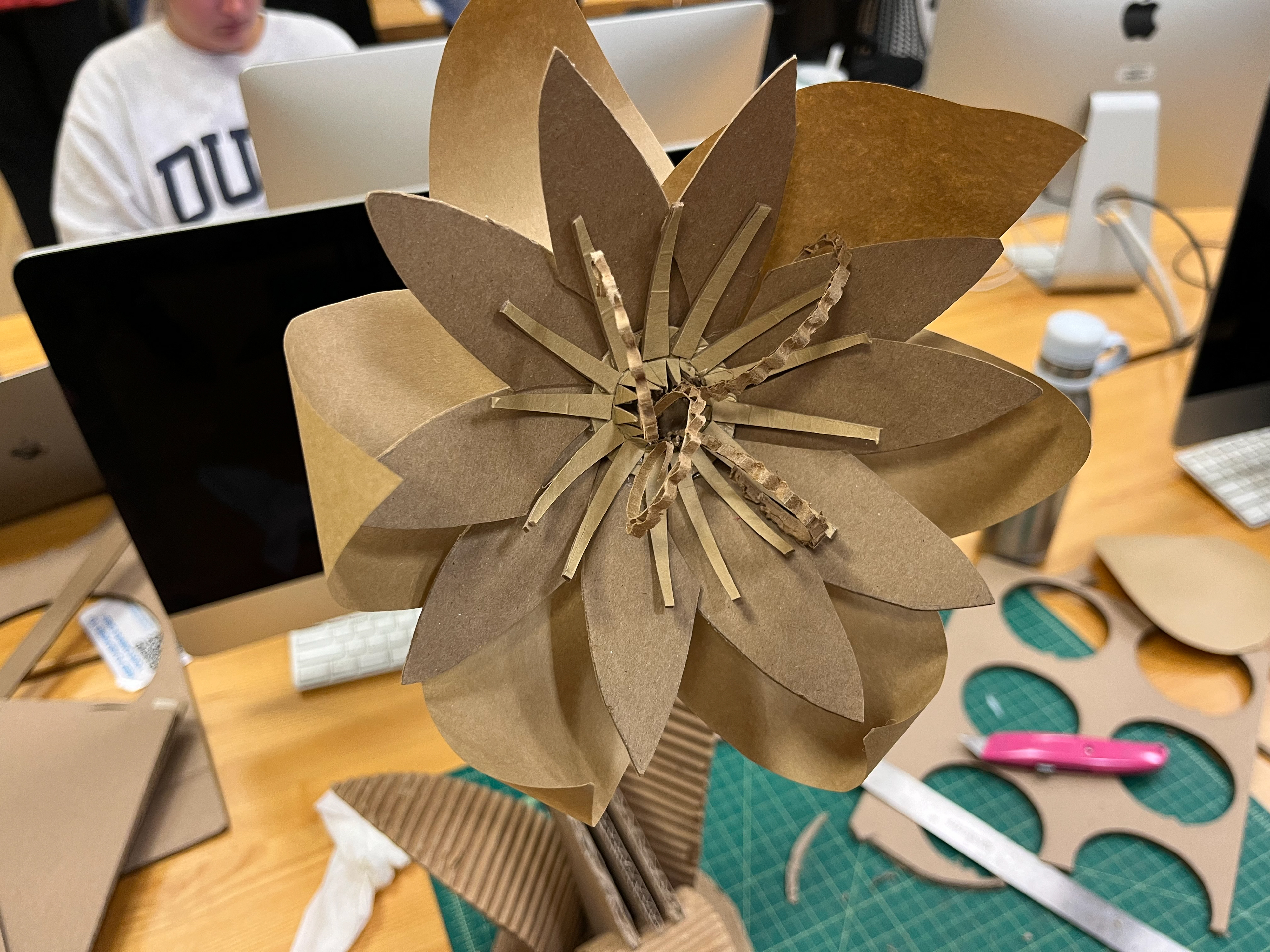 Attached flowerhead with additional petals