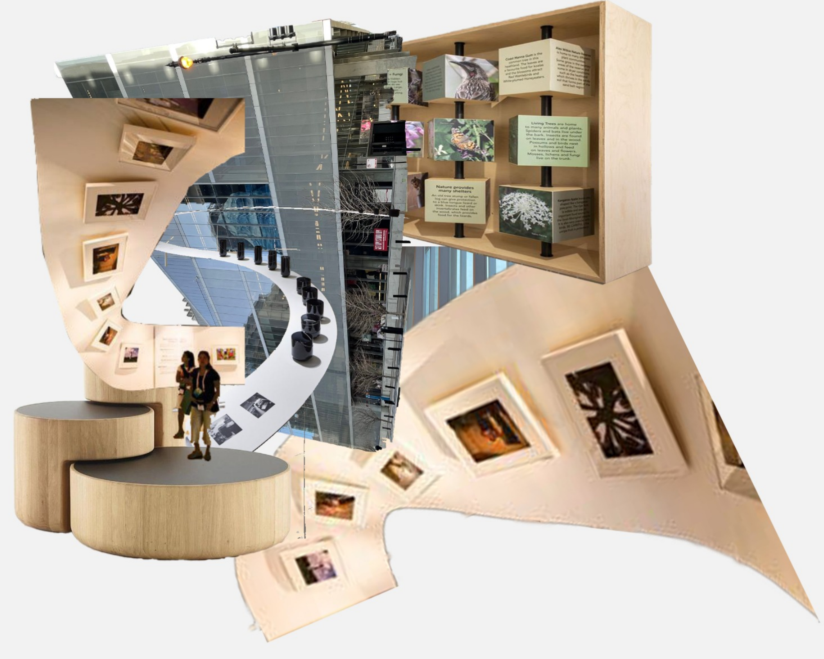 Collage 1