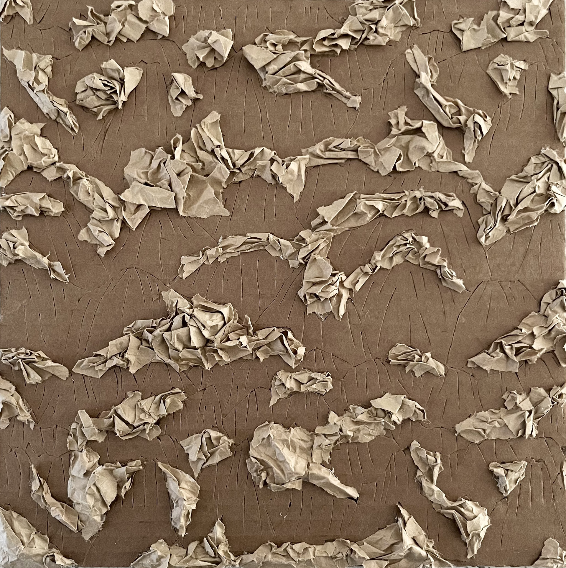 12” x 12” Final 3D Cardboard Design