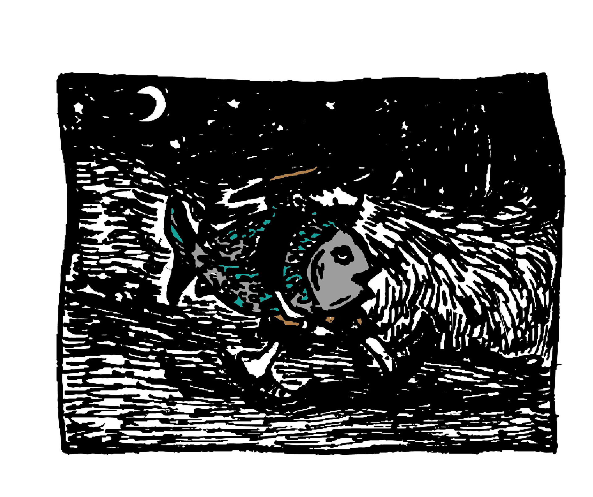 Book Illustration 2020