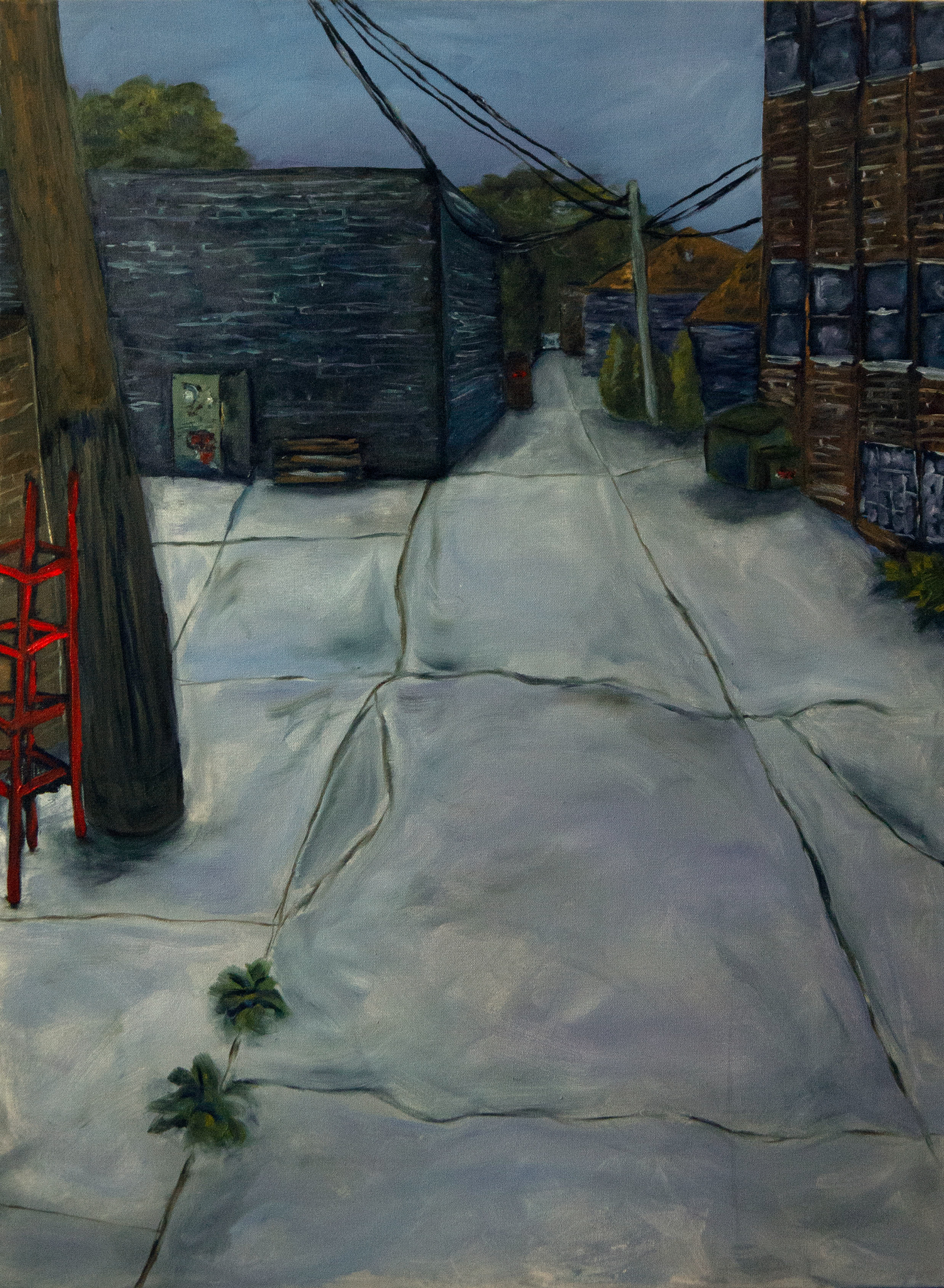 𝘈𝘭𝘭𝘦𝘺 𝘚𝘩𝘦𝘭𝘧, oil on canvas, 2020, 30 x 40"