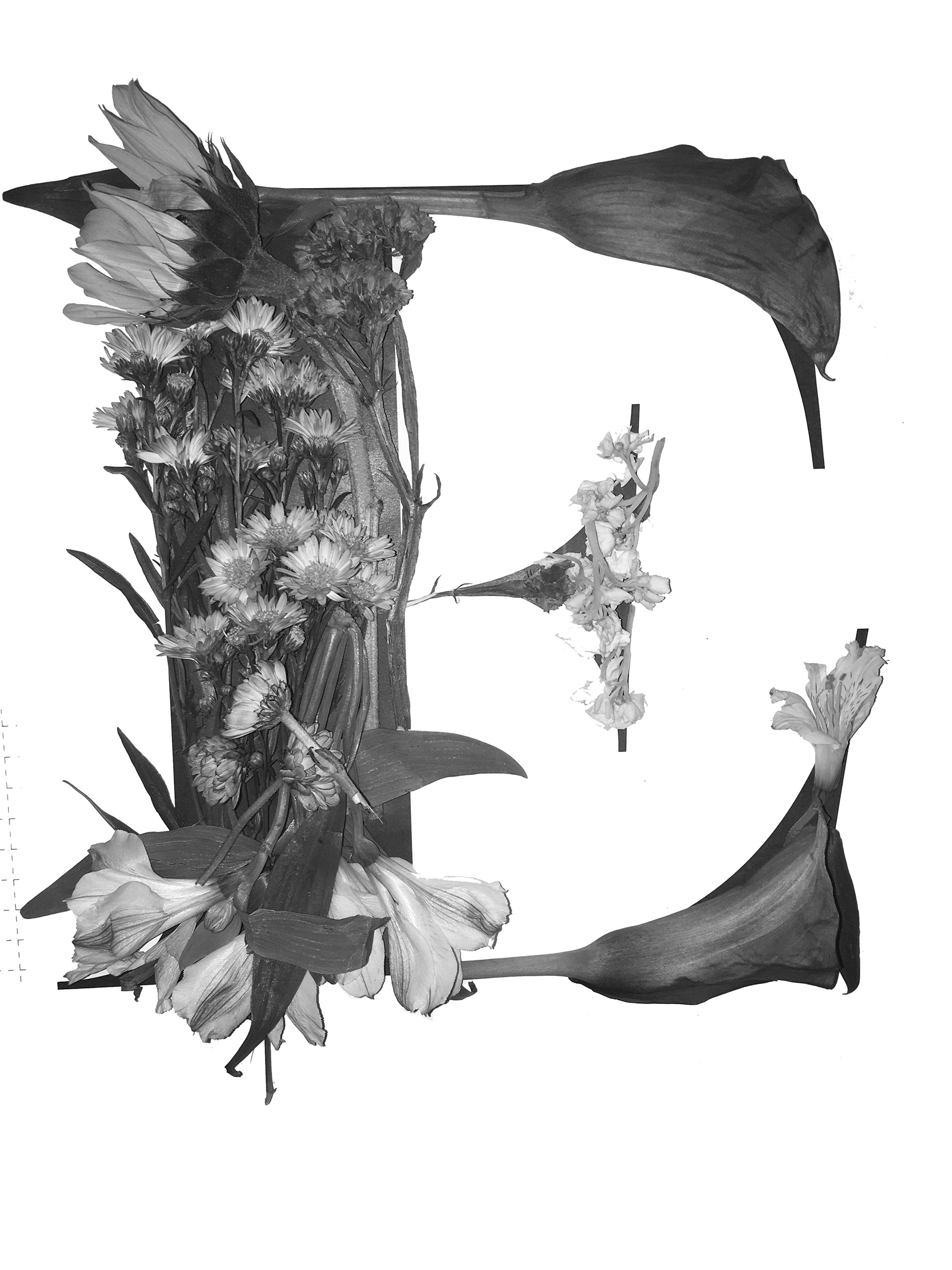 Real flowers made into letter forms.