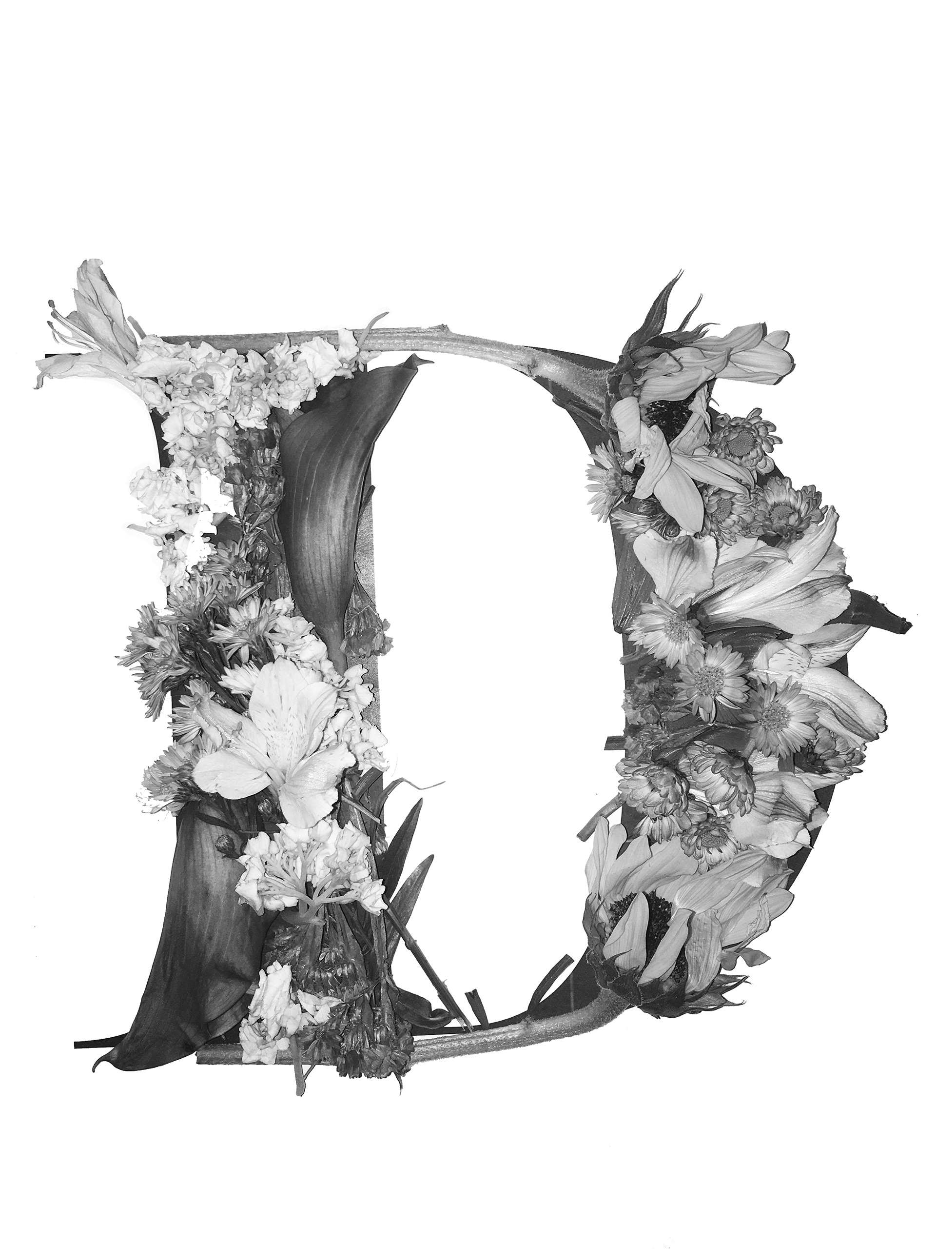 Real flowers made into letter forms.