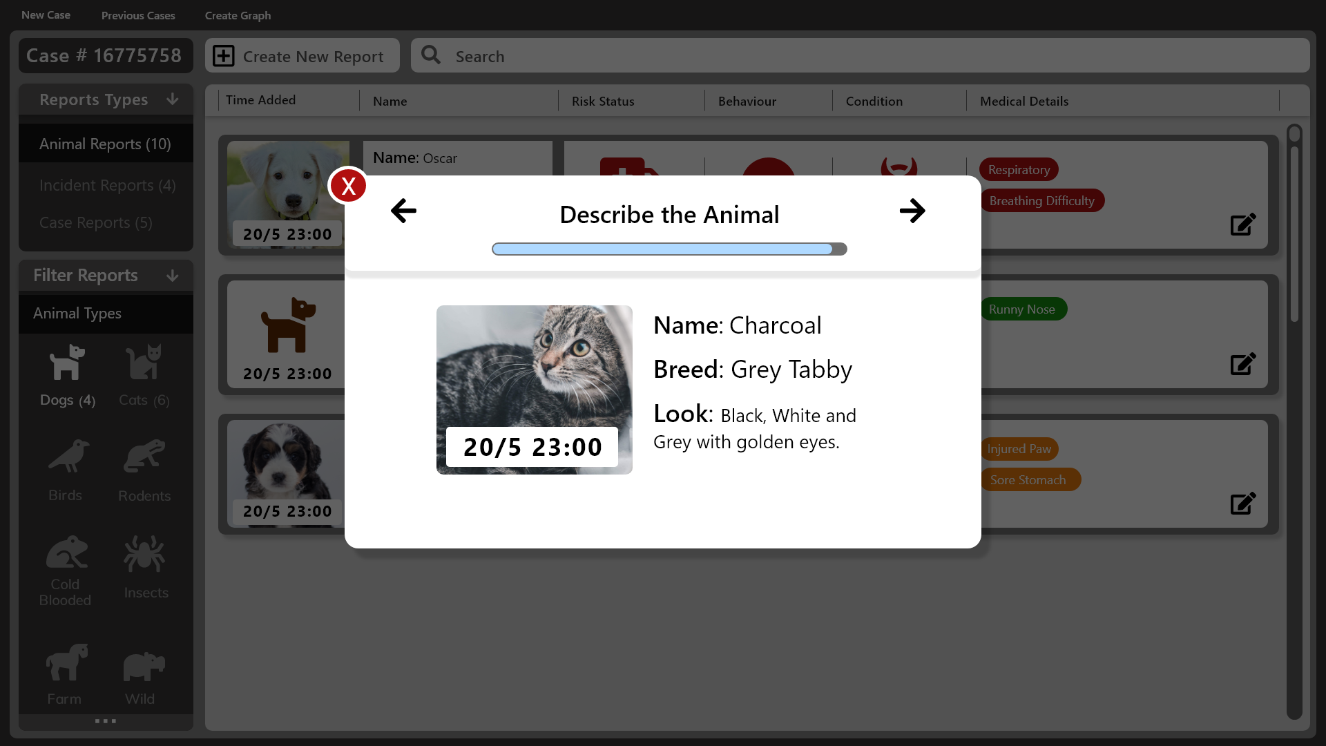 Describe the Animal - Finalized