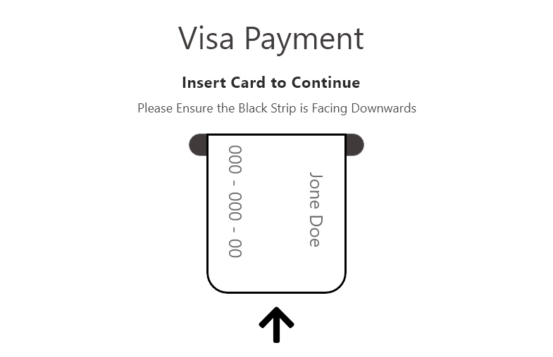 Visa Payment Instructions