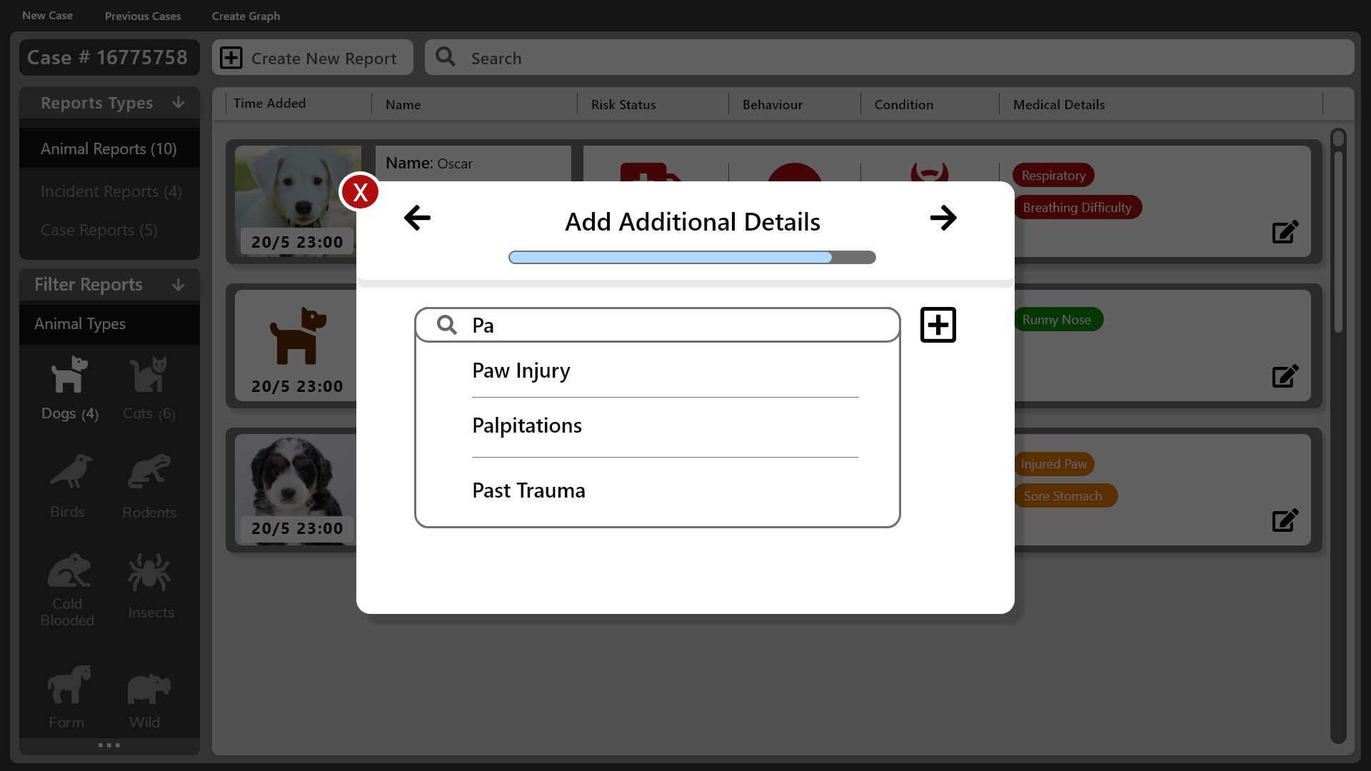 Add Additional Details - Typing 2