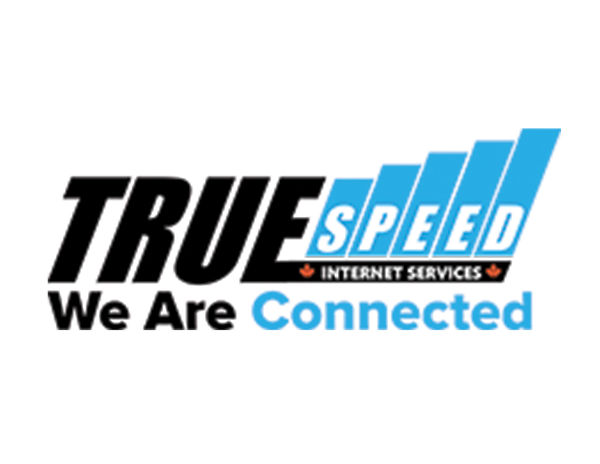 Original Company Logo as of 2019