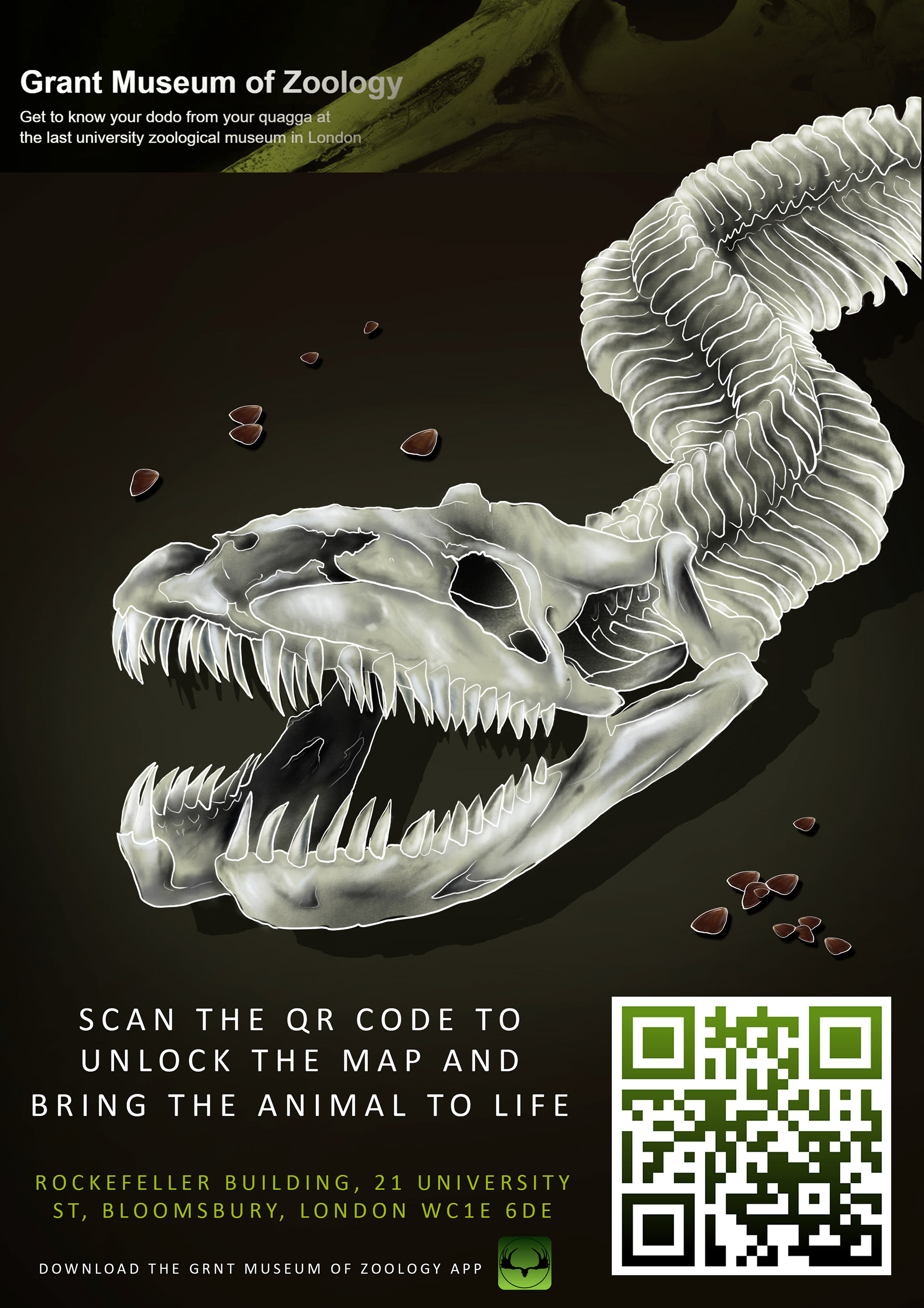 AFRICAN ROCK PYTHON POSTER