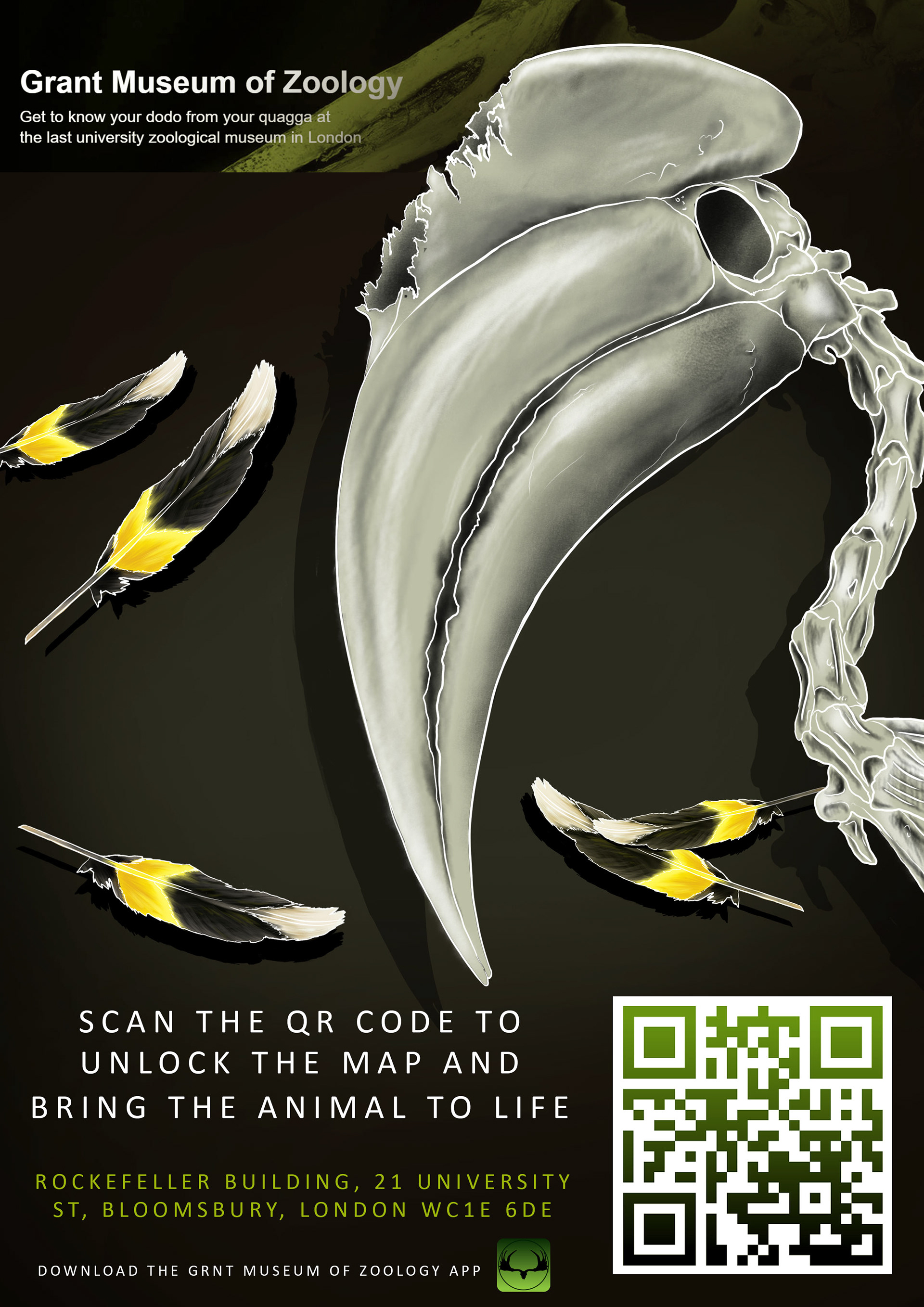 GREAT HORBILL POSTER