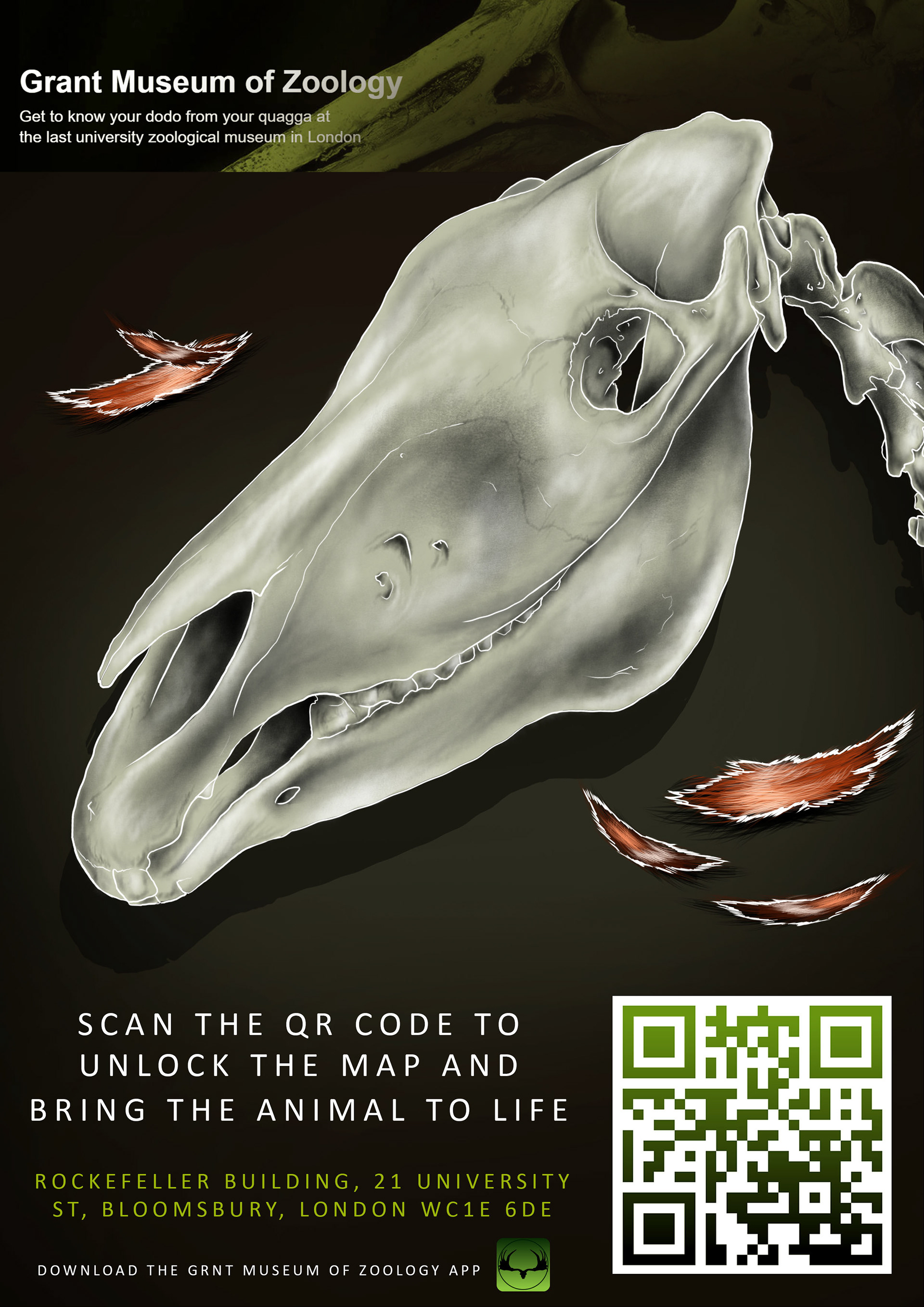 QUAGGA POSTER