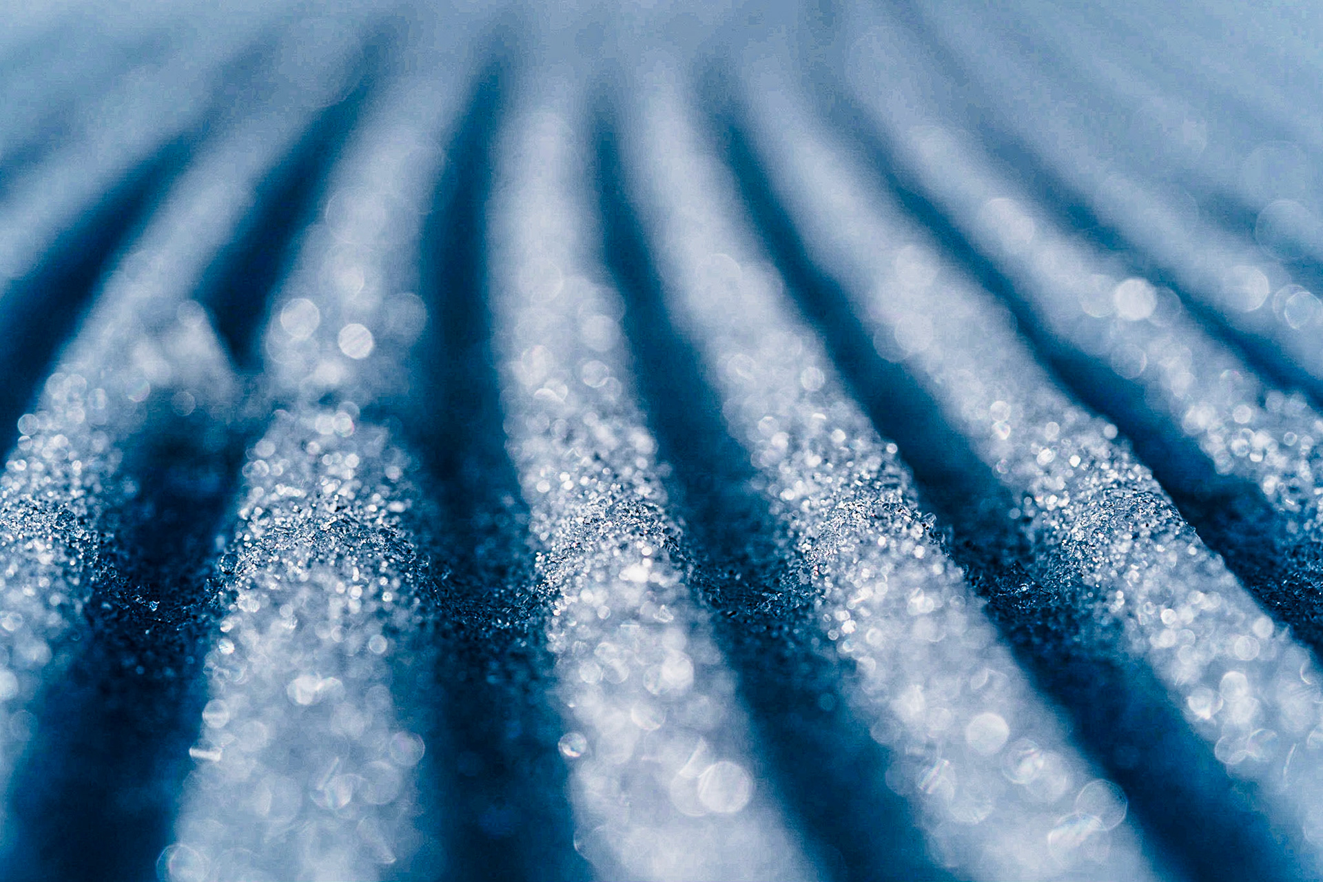 Foto: Birke Oud/www.birkeoud.com