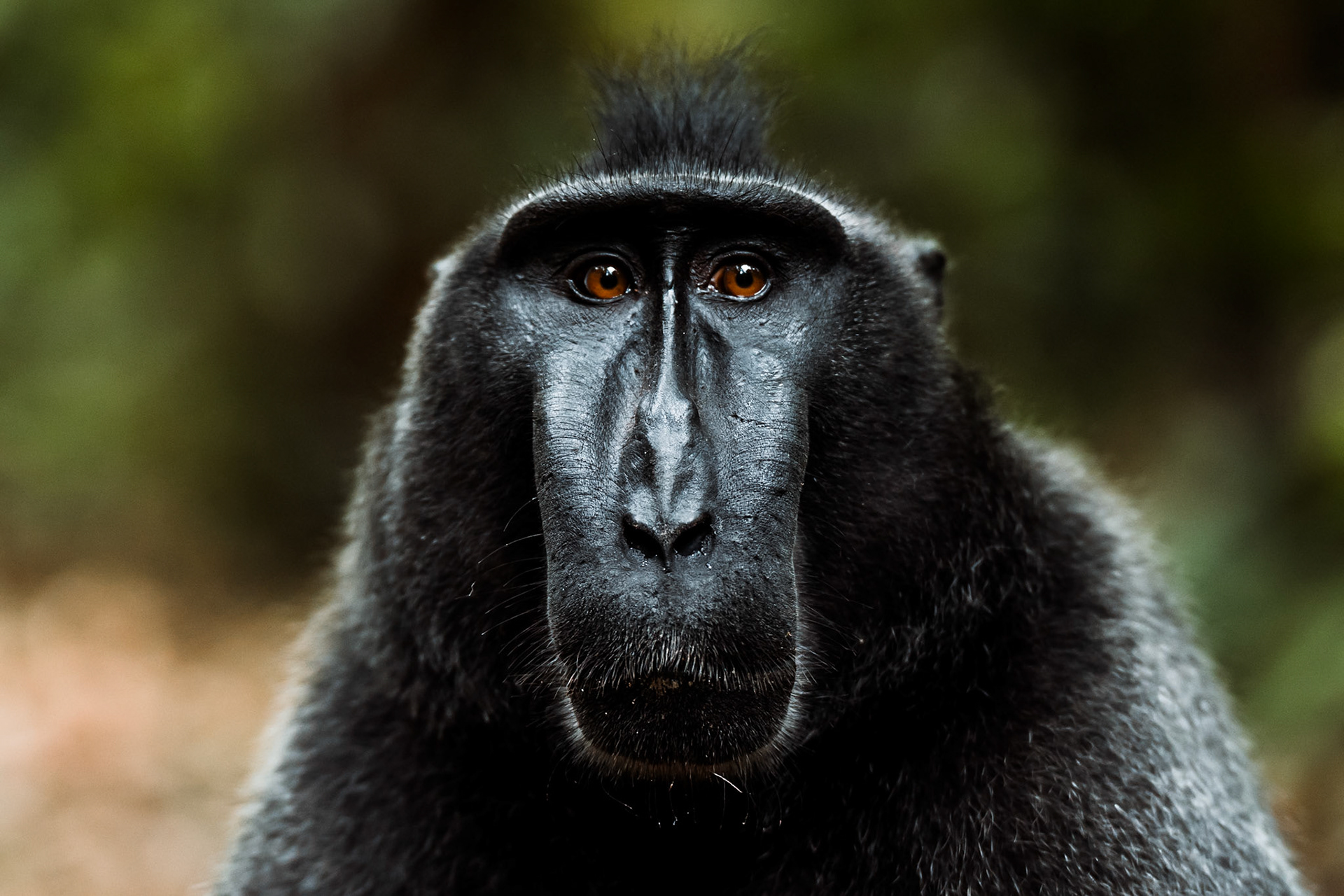 Was die anderen wohl so treiben?