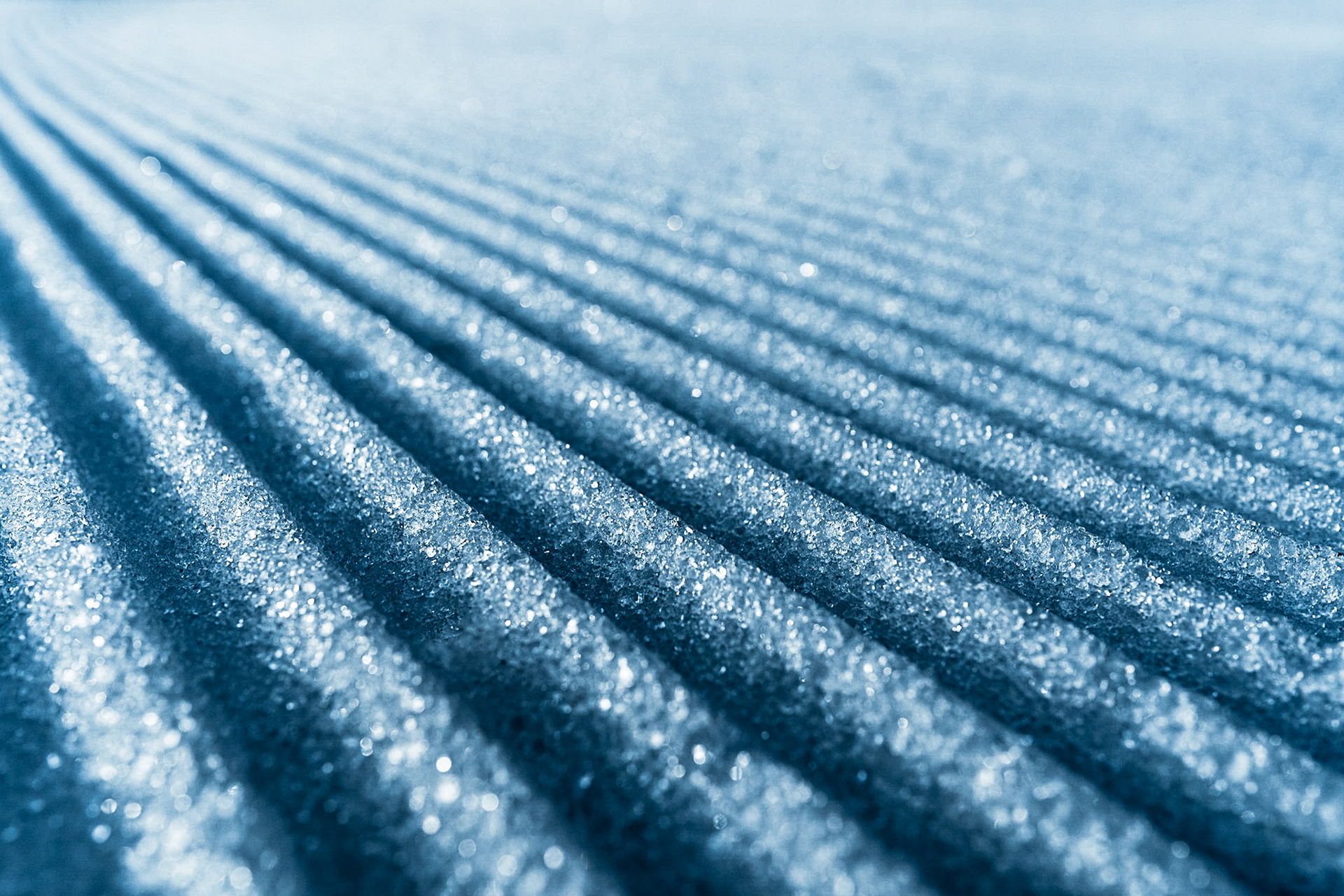 Foto: Birke Oud/www.birkeoud.com