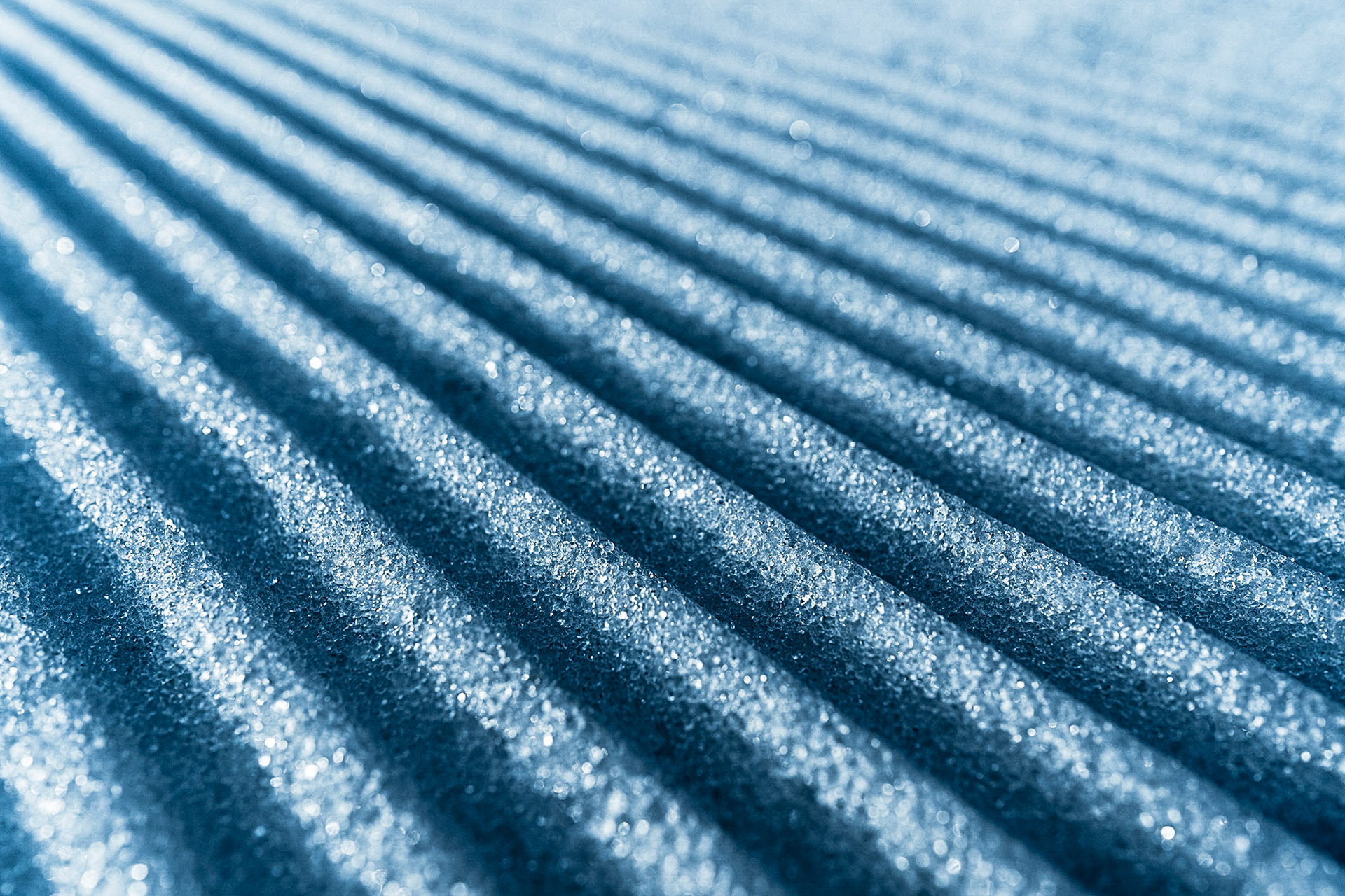 Foto: Birke Oud/www.birkeoud.com