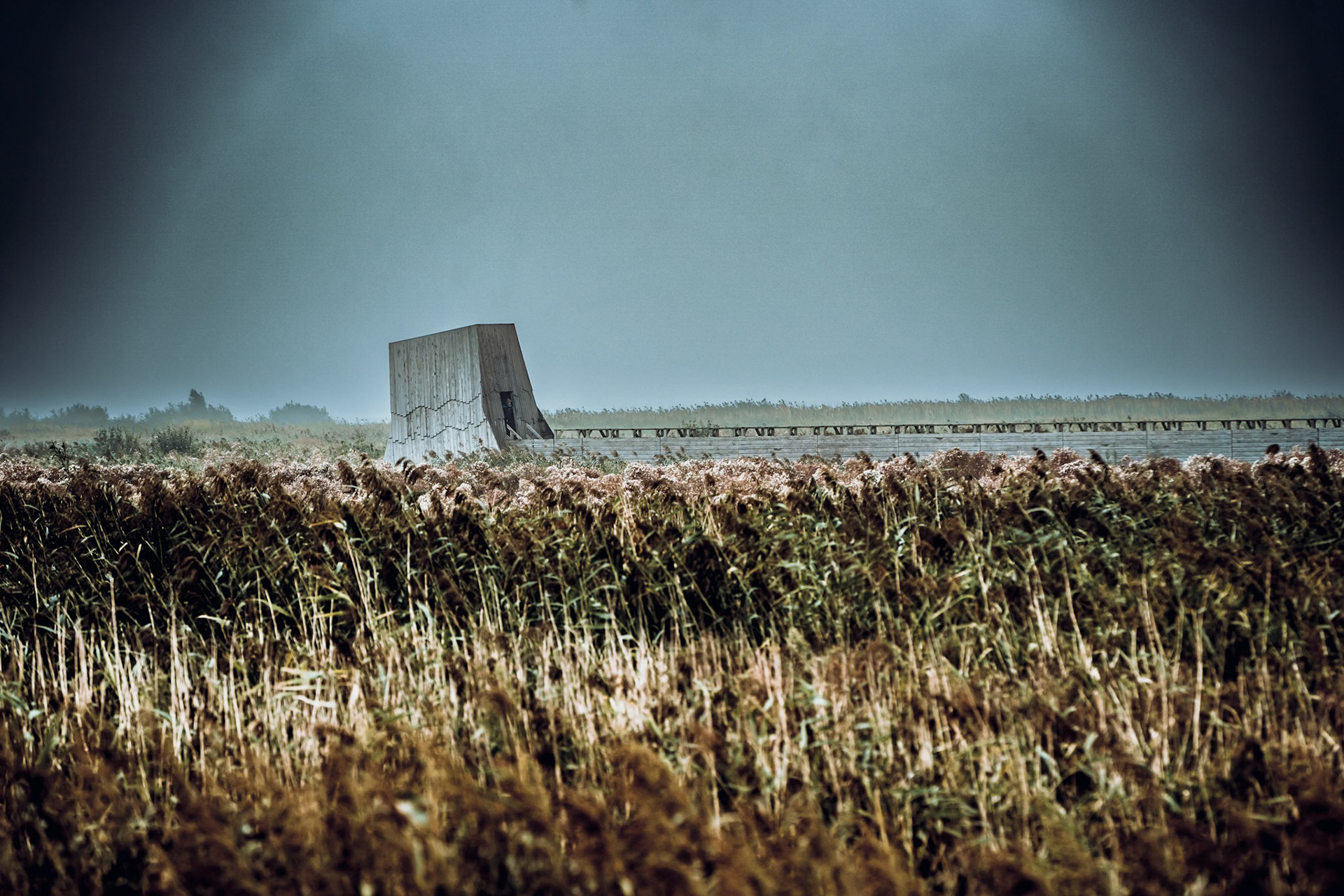  Beobachtungsturm auf Marker Wadden