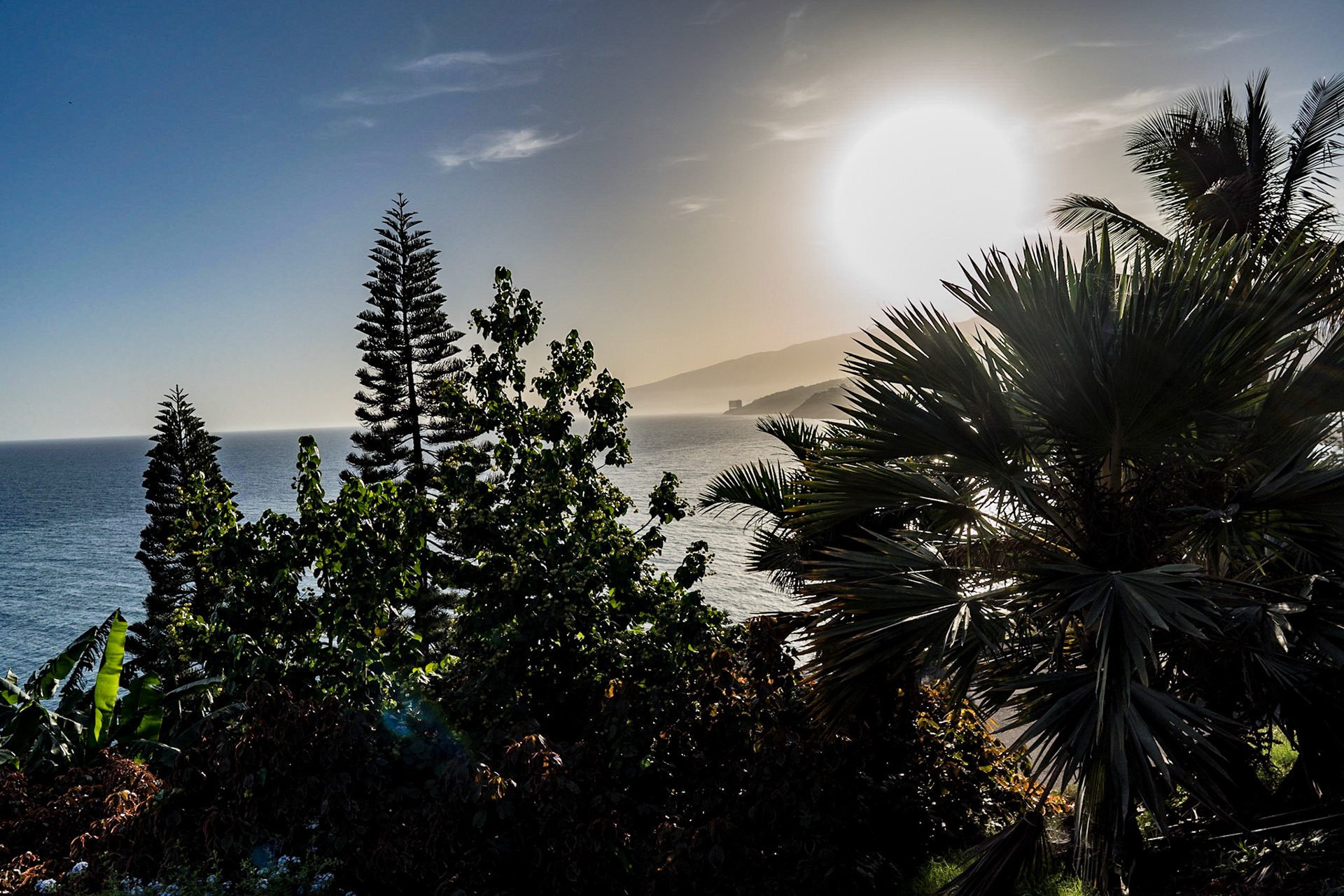Das Palmetum ist ein Botanischer Garten mit ca. 600 Palmenarten und weiteren über 3000 tropischen und subtropischen Pflanzen aus aller Welt. Er wurde 1996 auf einem ehemaligen Müllberg angelegt, der 1984 stillgelegt worden ist. 