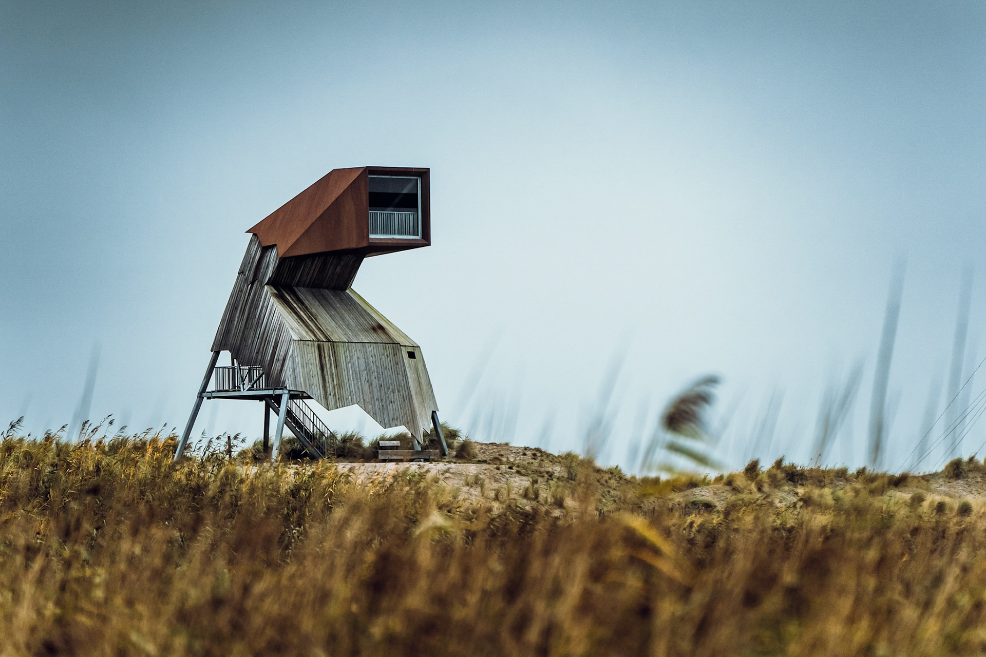  Beobachtungsturm auf Marker Wadden