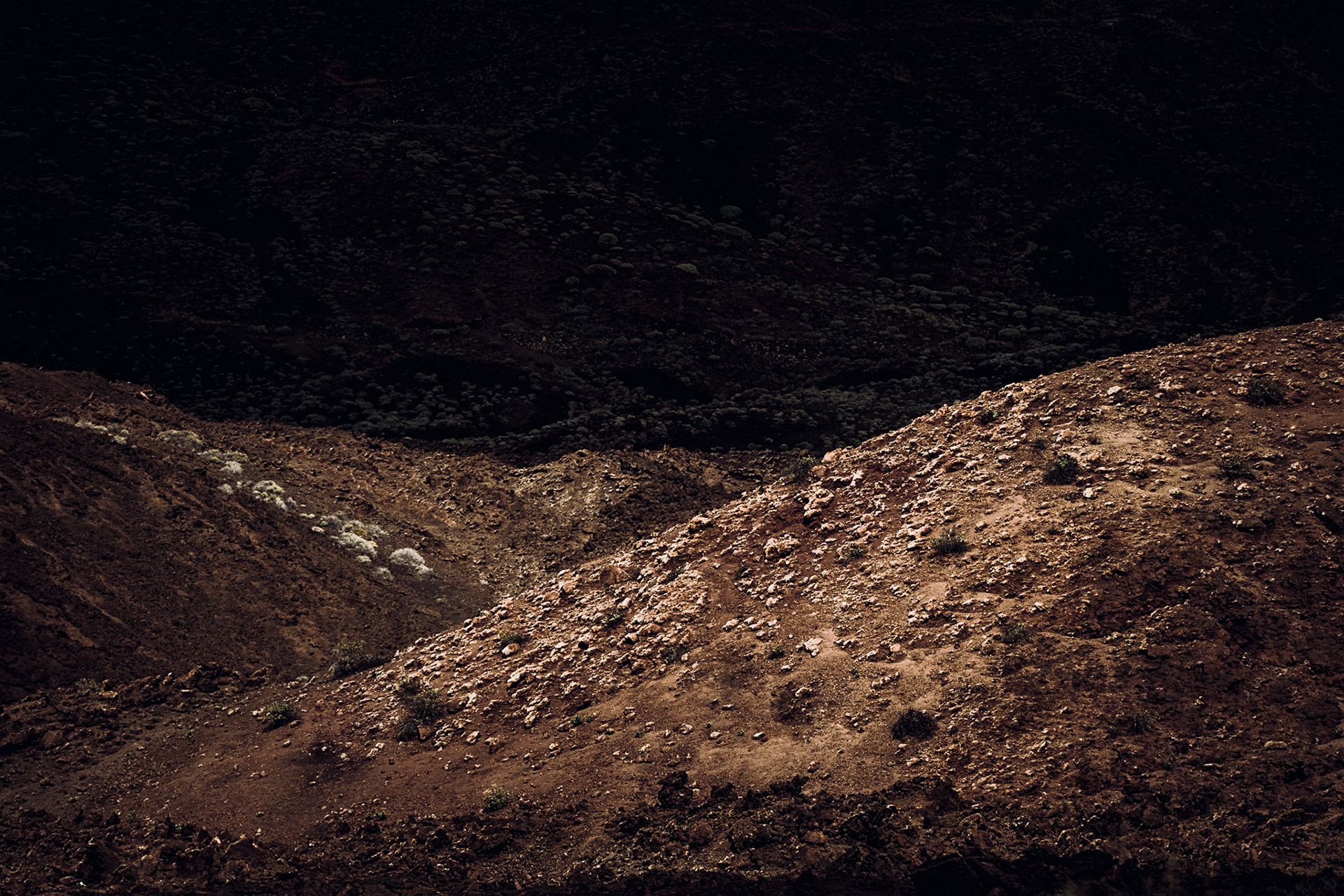 El Hierro, Kanarische Inseln, 2022. Foto: Birke Oud/www.birkeoud.com