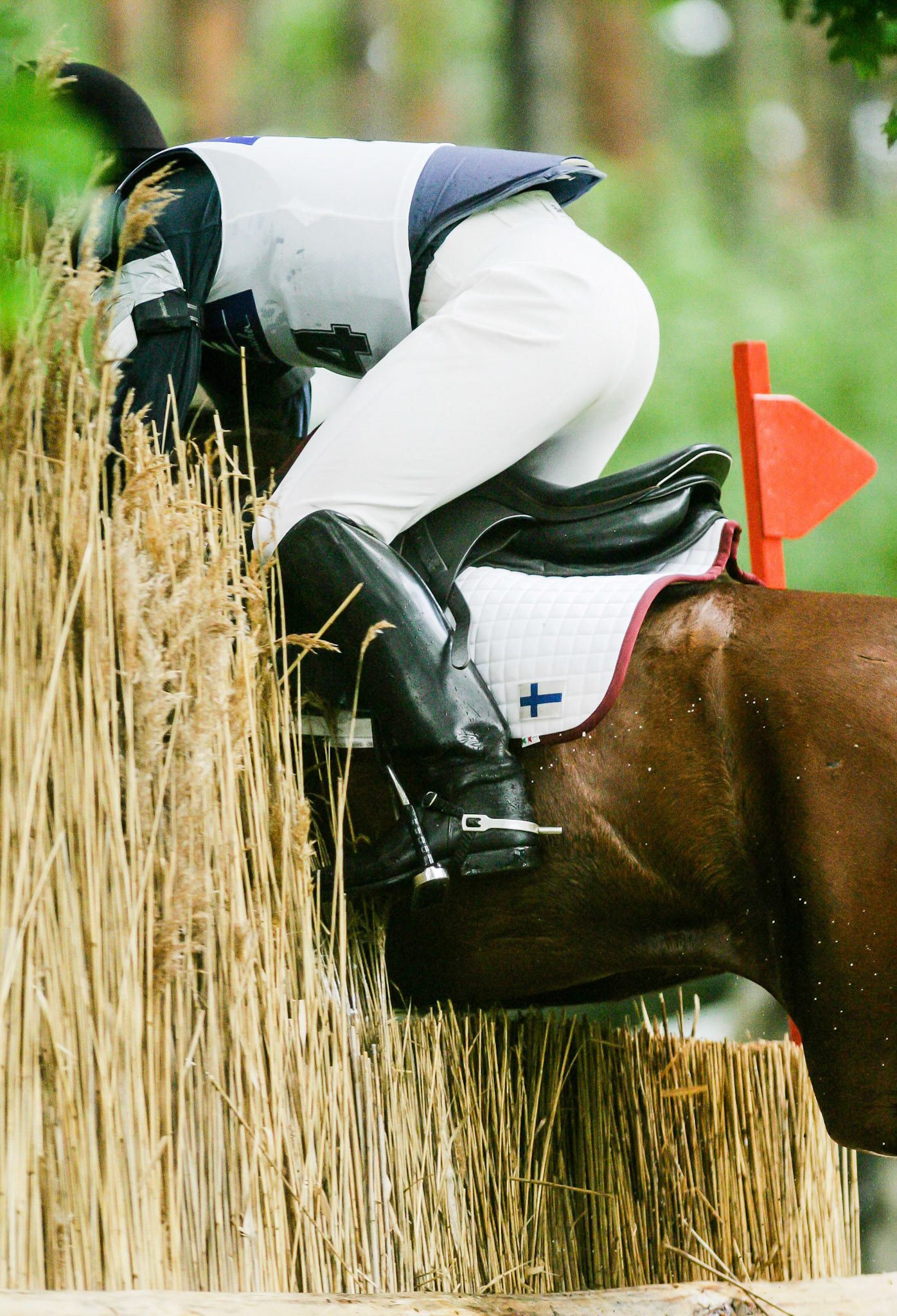 Ab durch die Wand, Vielseitigkeitsreiten Weltcup in Luhmühlen