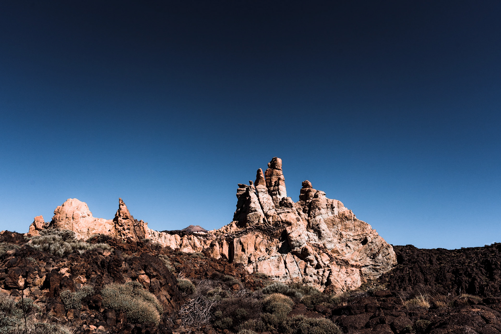 Ein versteinerter Fisch?