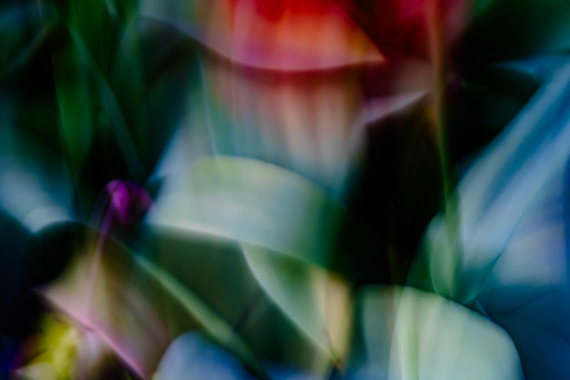 in kubistischer Stimmung