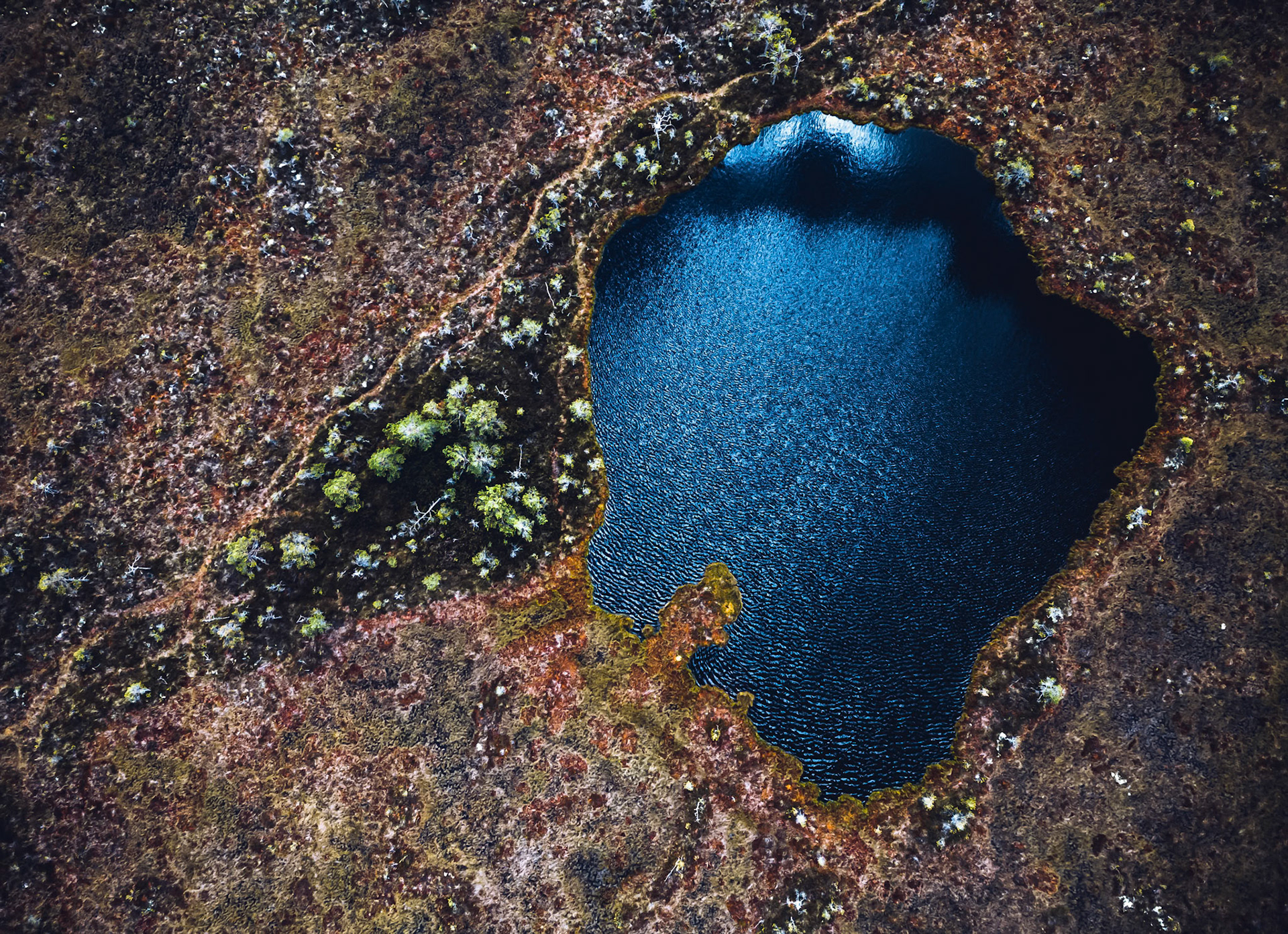 Ein Moorsee in Estland