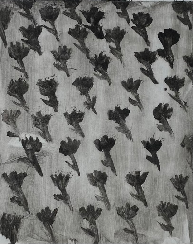 Monotype 4