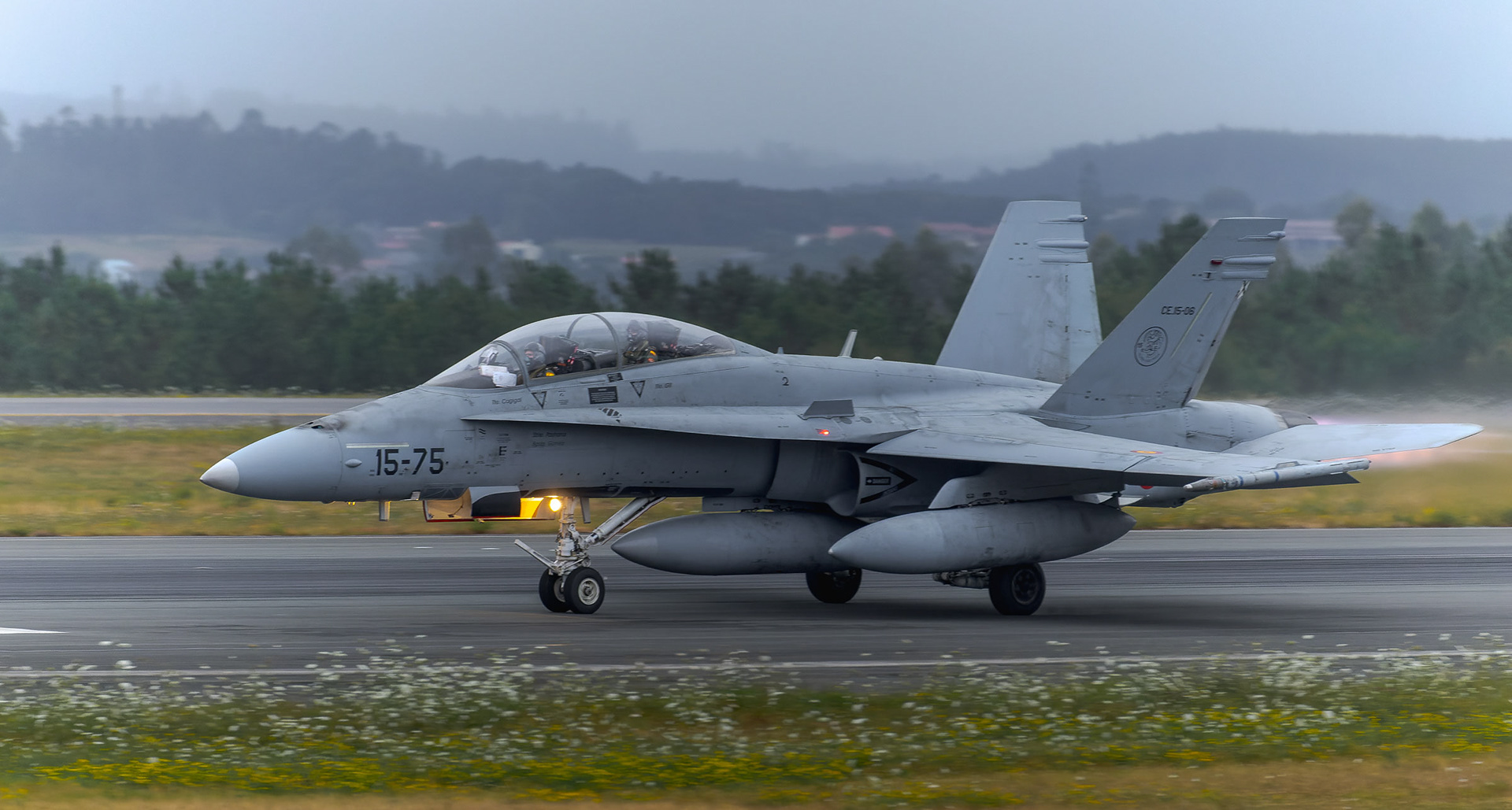 F - 18 HORNET