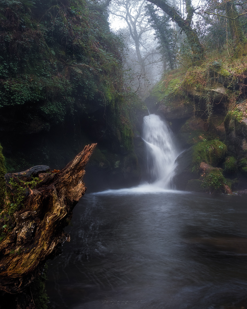 Fervenza de Pozo Negro