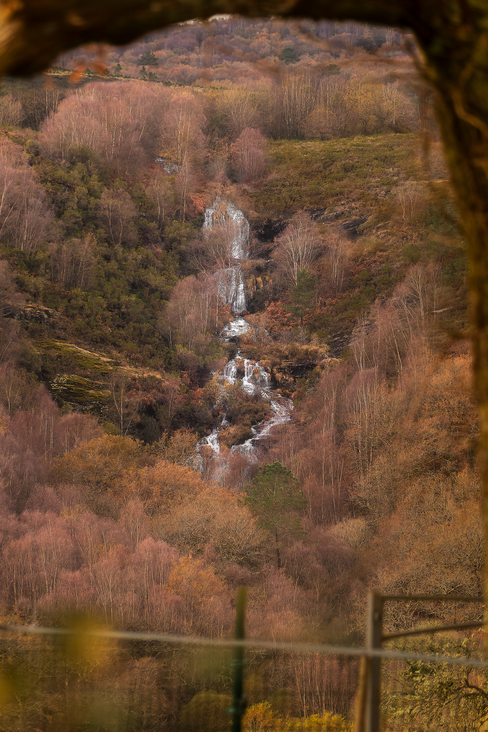 Freixa de Chamosa ( Forcarei )