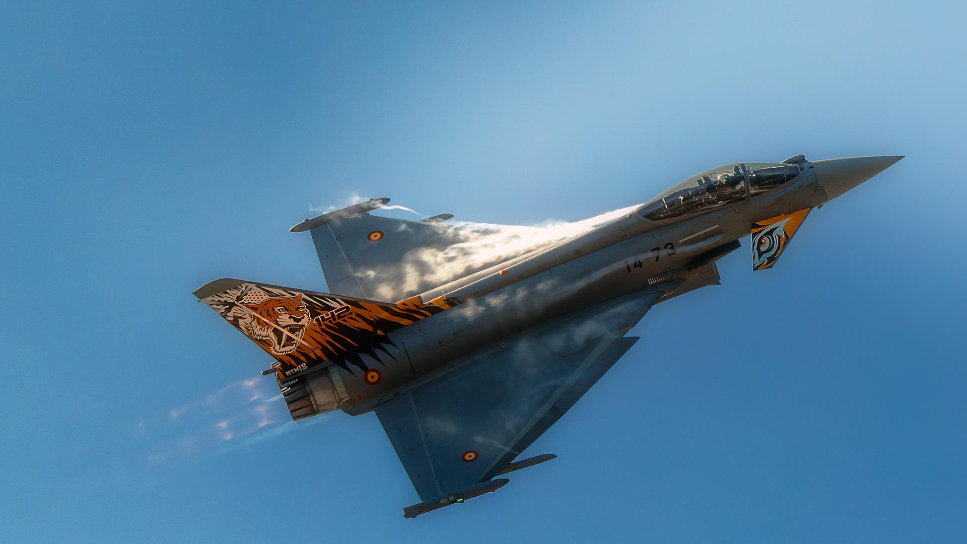 Eurifighter Typhoon Ala 14