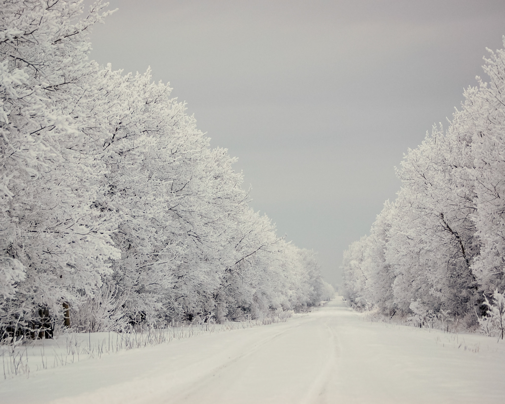 the road home