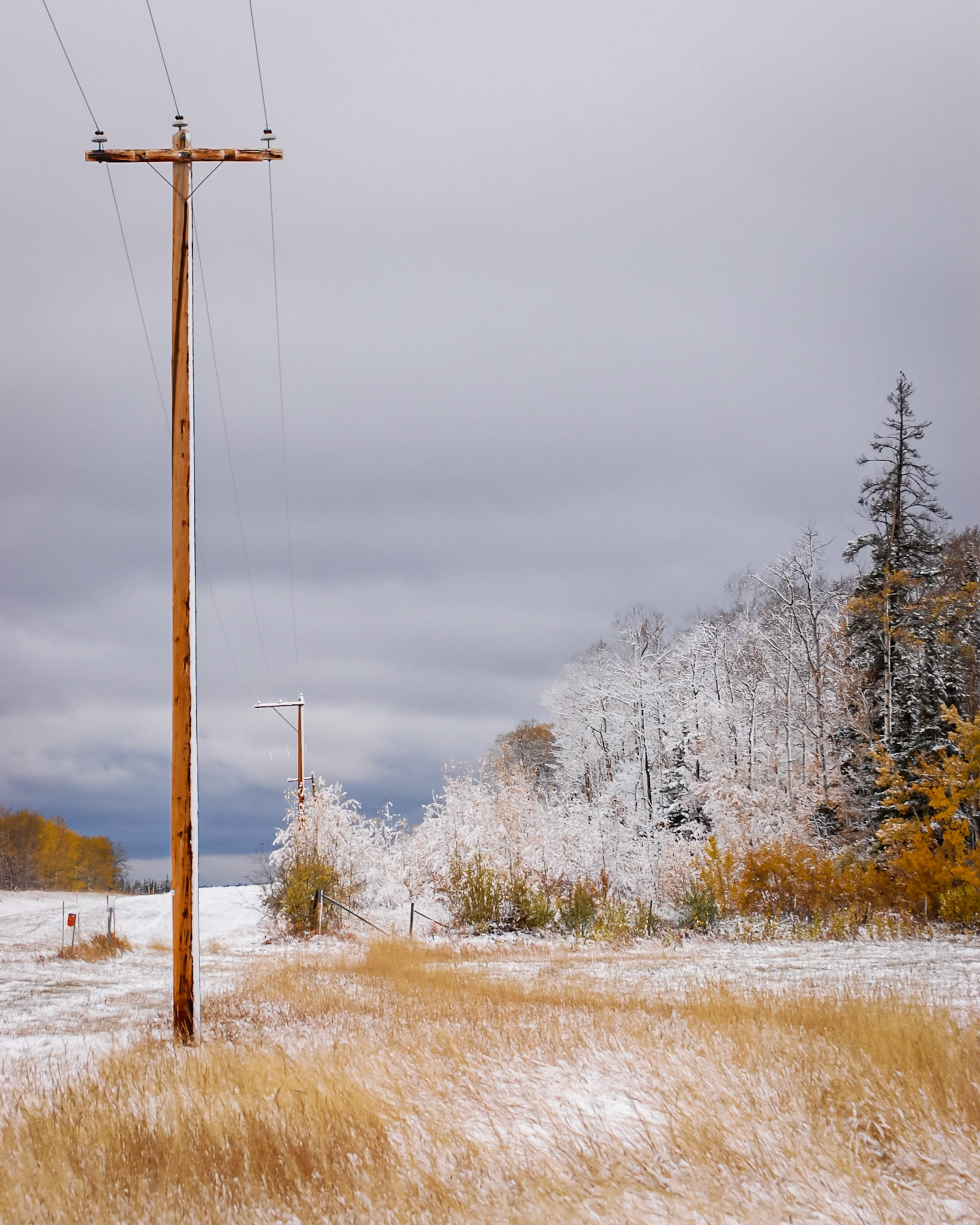 first snow