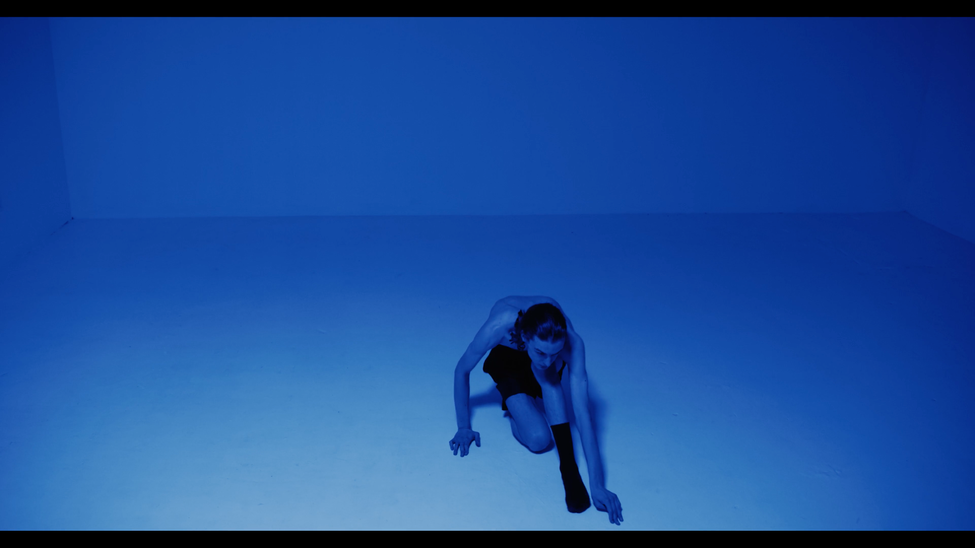 DIRECTOR/DP/EDIT