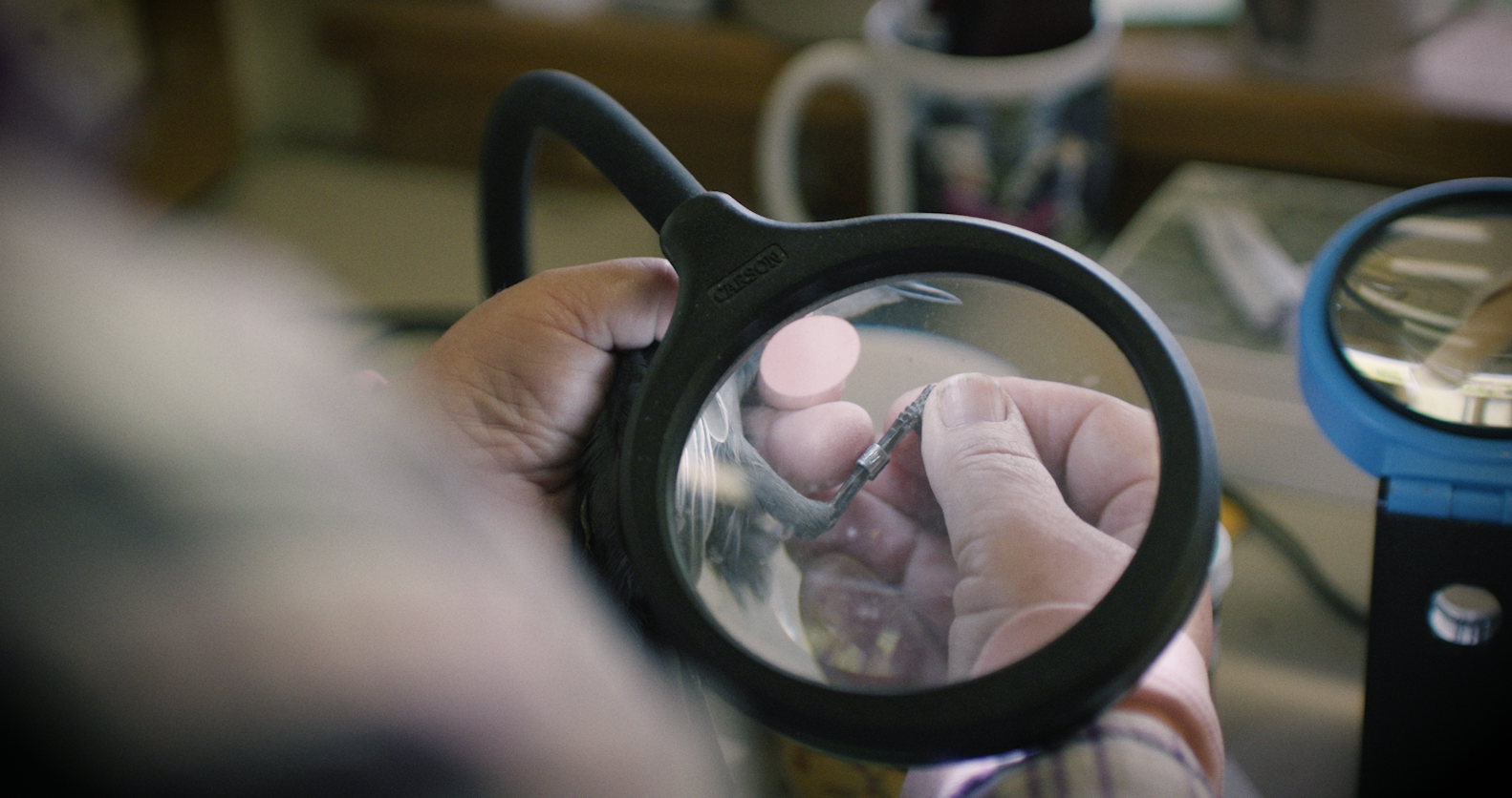 'The Stewards' -The Nature Conservancy (Branded Docu/upcoming)