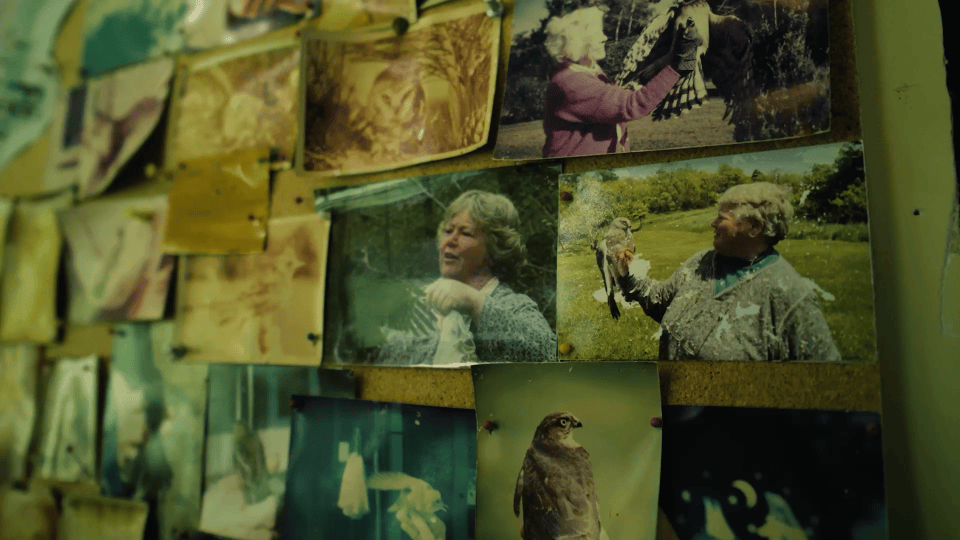 'The Stewards' Nature Conservancy (Documentary/upcoming)