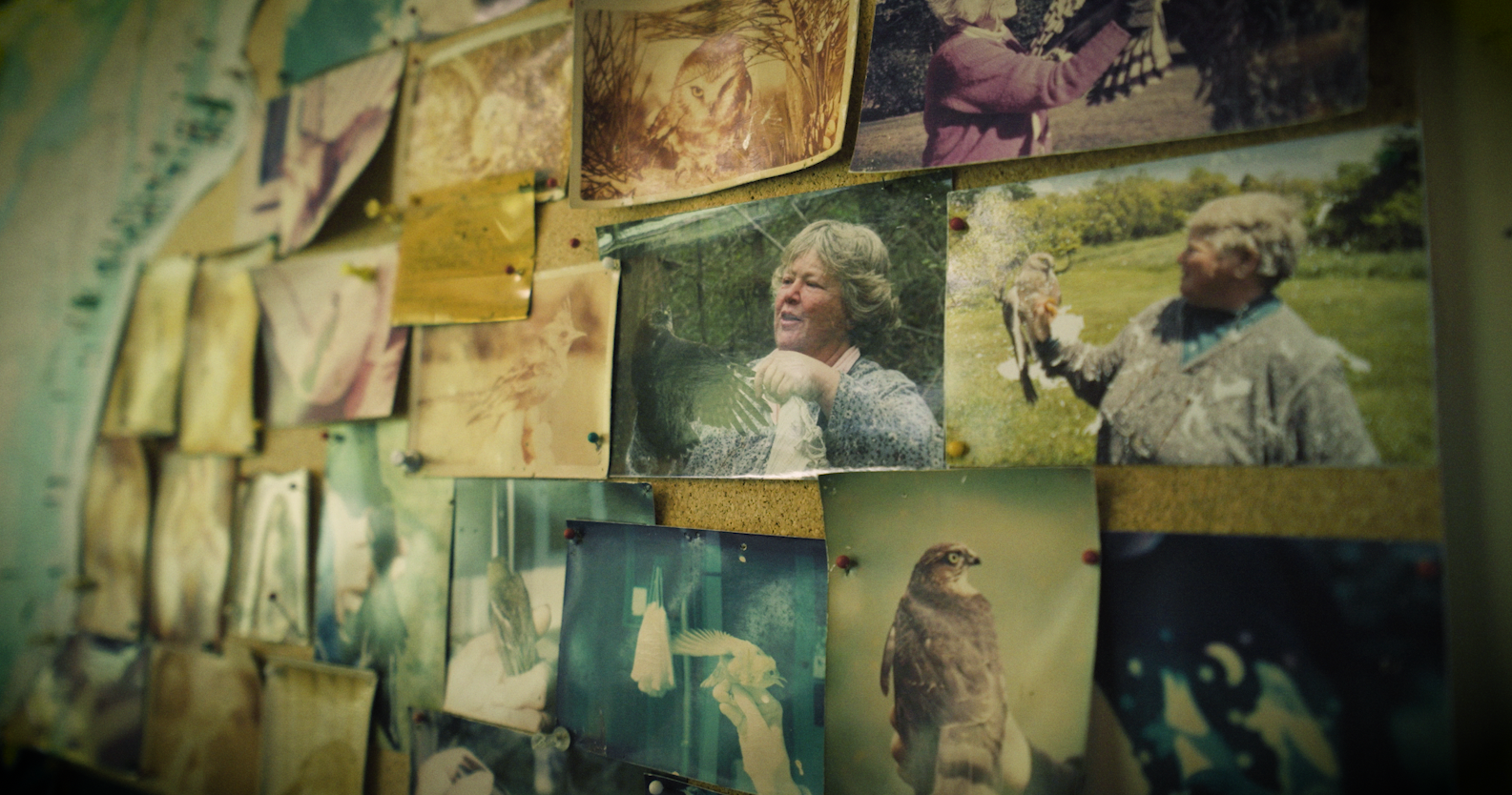 'The Stewards' -The Nature Conservancy (Branded Docu/upcoming)