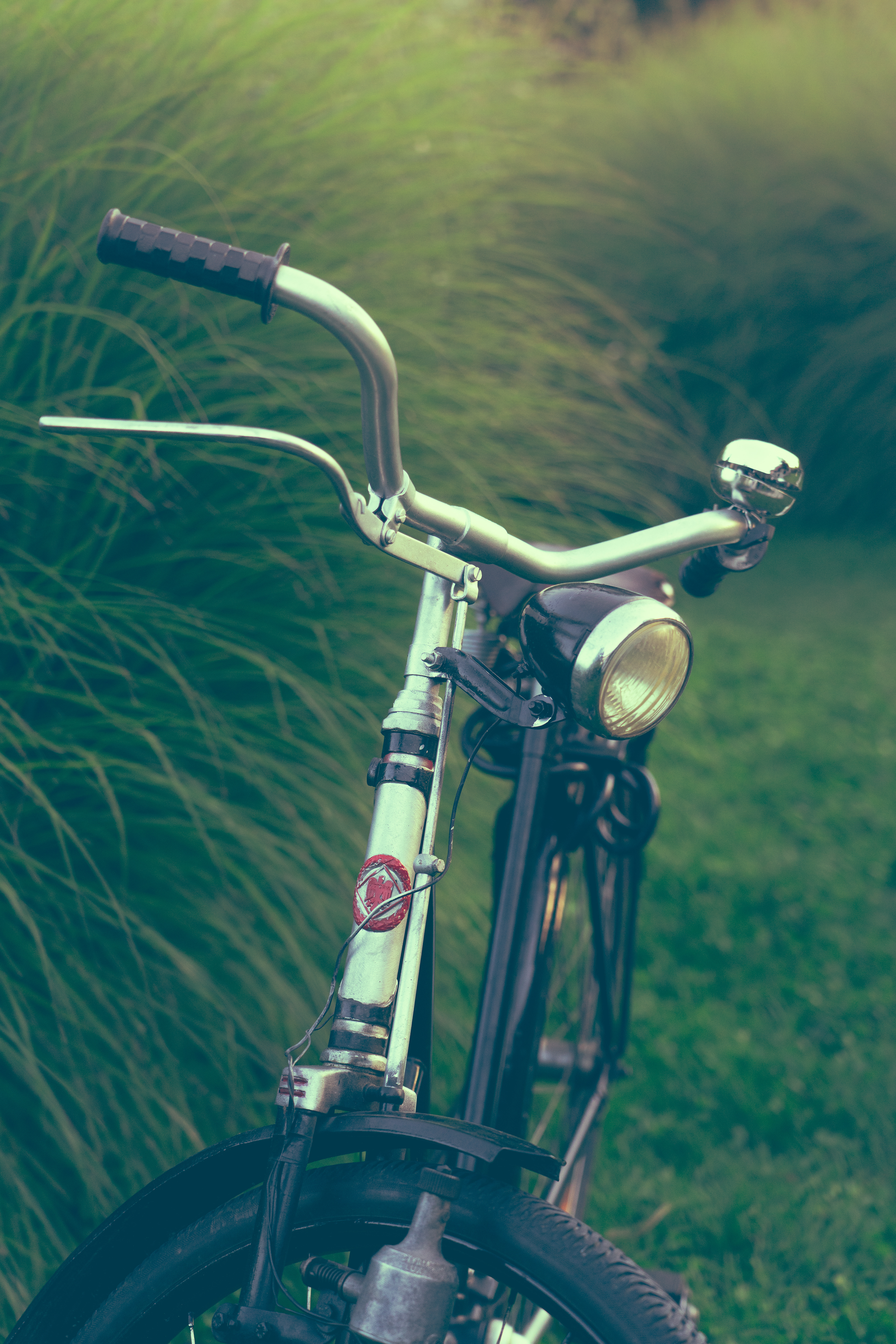 Veronika Rauch - altes Fahrrad vor Graeser